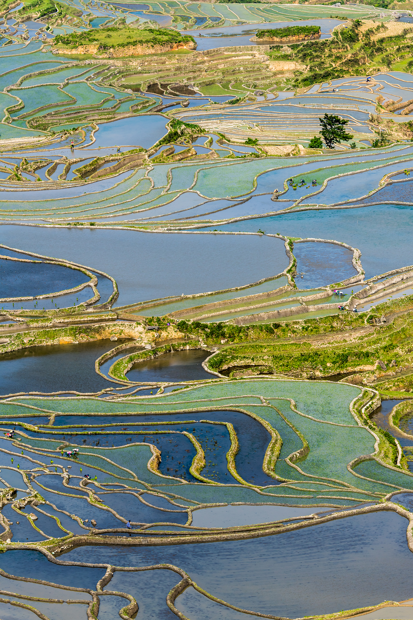 2019年云南商务职业学院市政工程施工专业解读