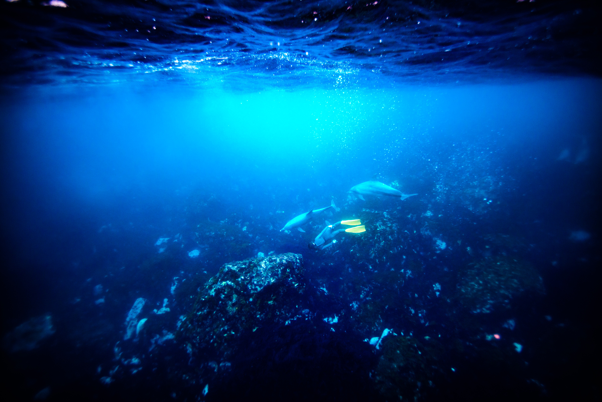 oshima underwater