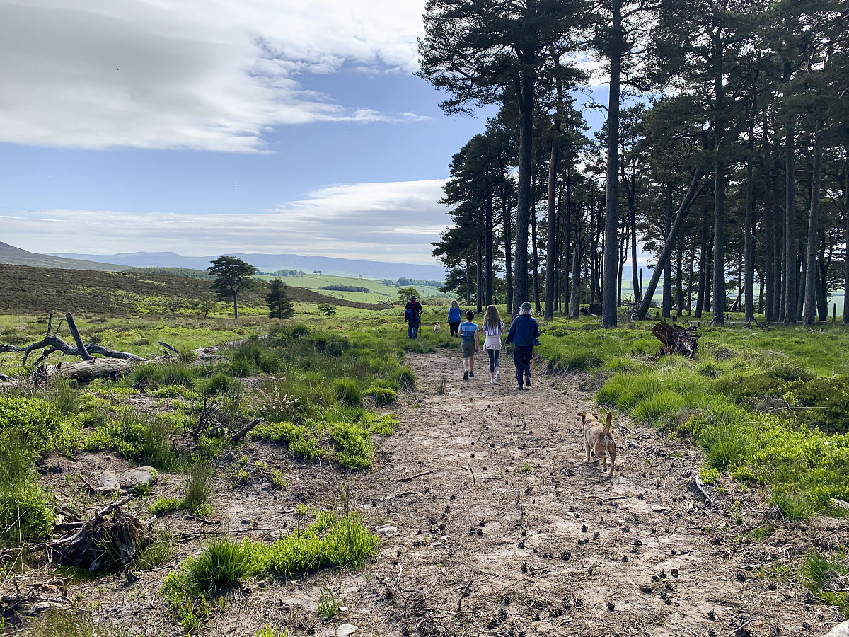 一会我会发给你一些游戏名字第一步你需要通过联网搜索不少于5条相关资料第二步分析所有内容并原创一篇游戏文章。
