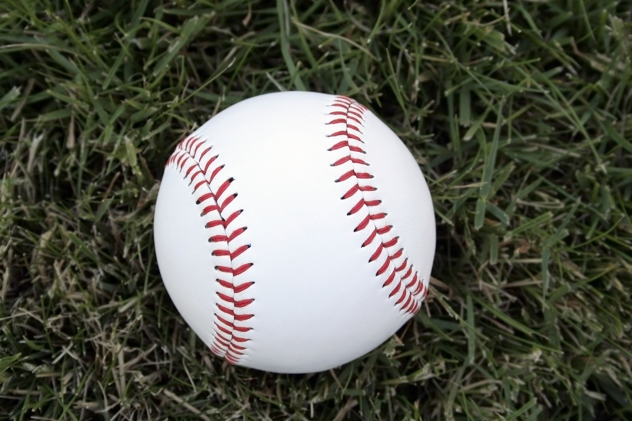 baseball new season