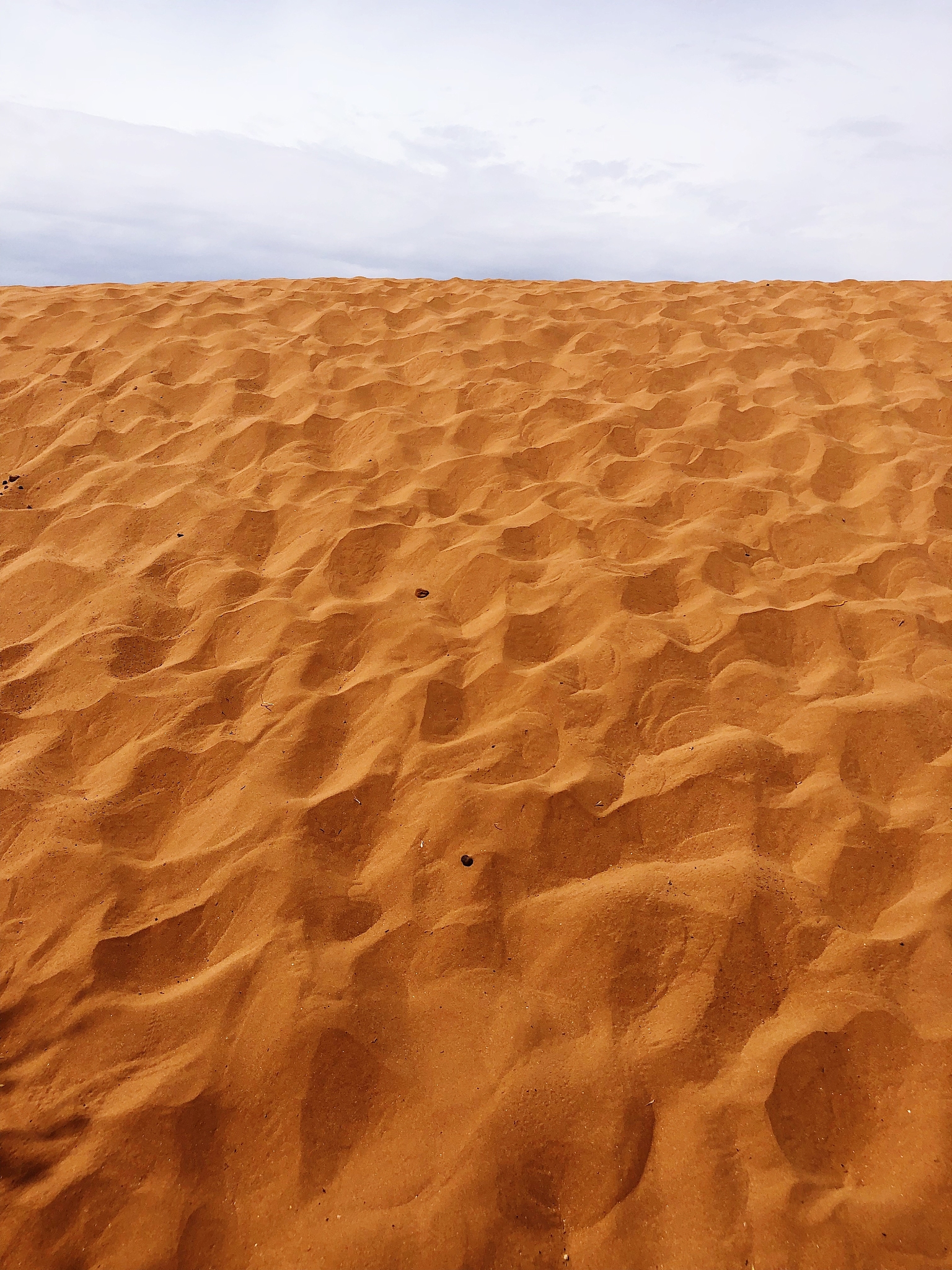 sand dunes in desert against sky