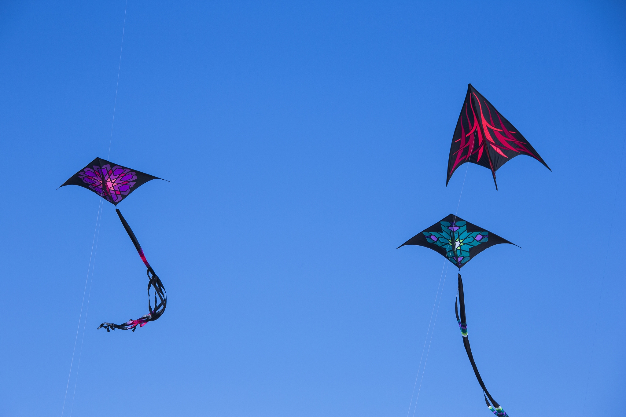 kites