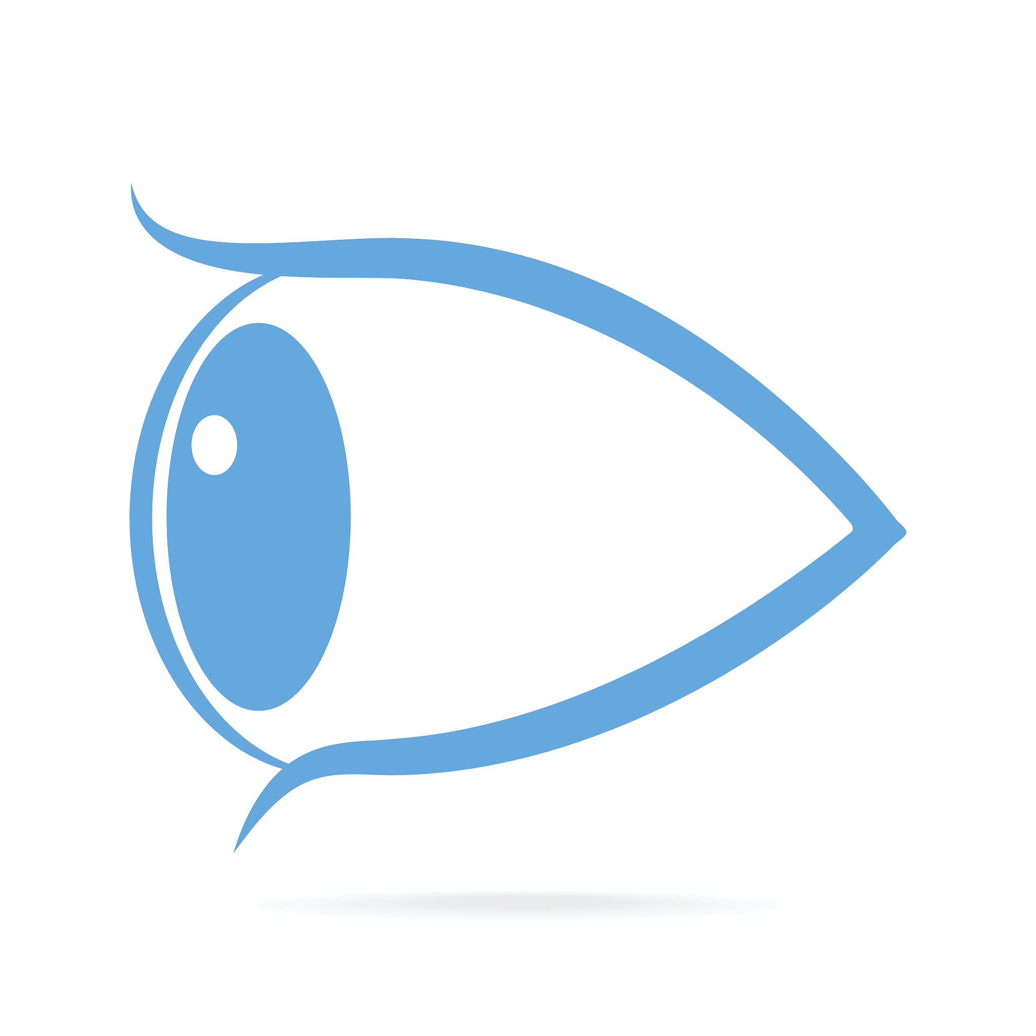 eye icon flat style vector illustration