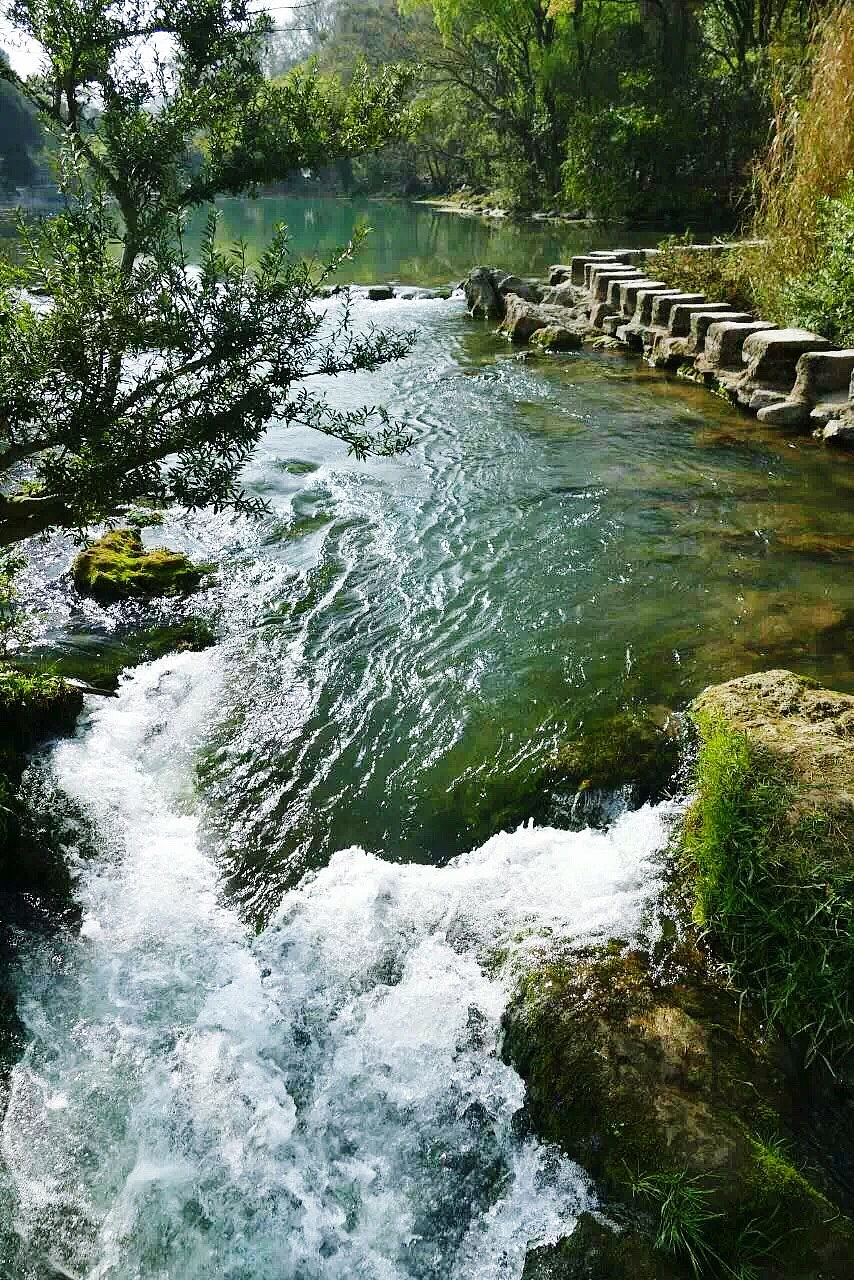 river flowing through forest