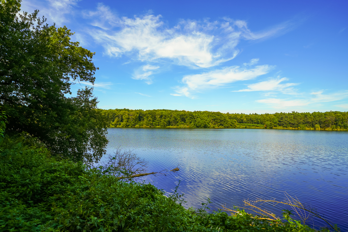 佳木斯旅游 | 黑龙江最北的旅游胜地