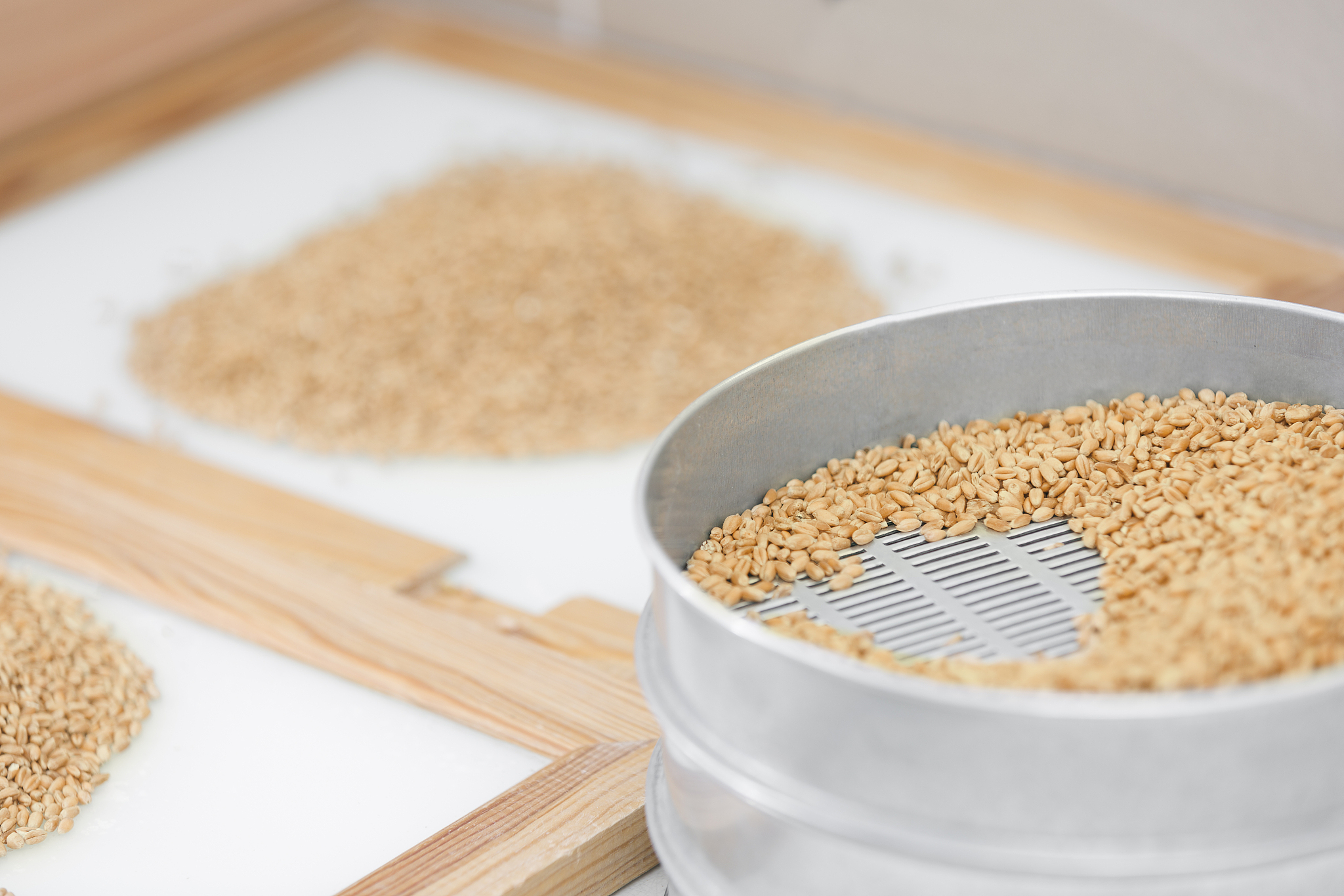 福建农林大学食品科学与工程专业怎么样？就业前景、课程设置及学习体验