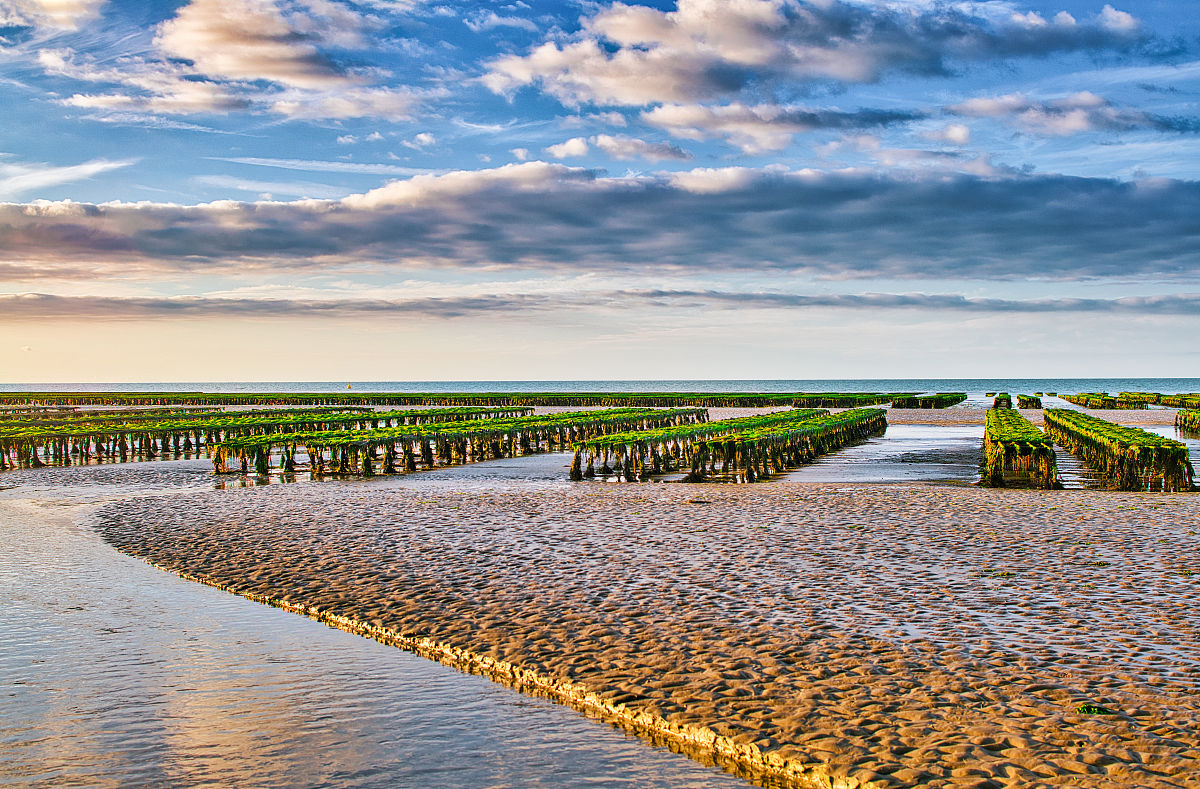 宁波水产技术学校2023年招生网站是哪个-好不好