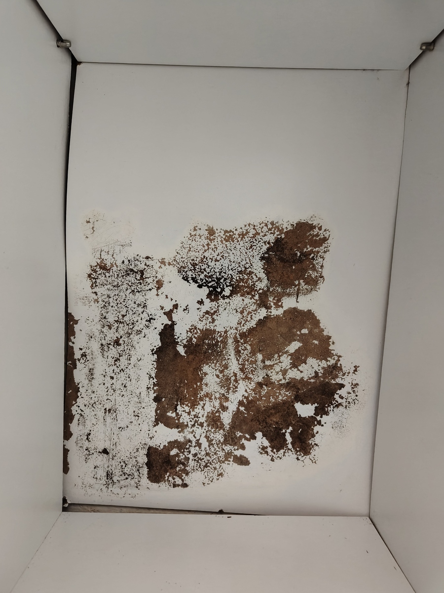 有什么工具可以测量家里是否有霉菌