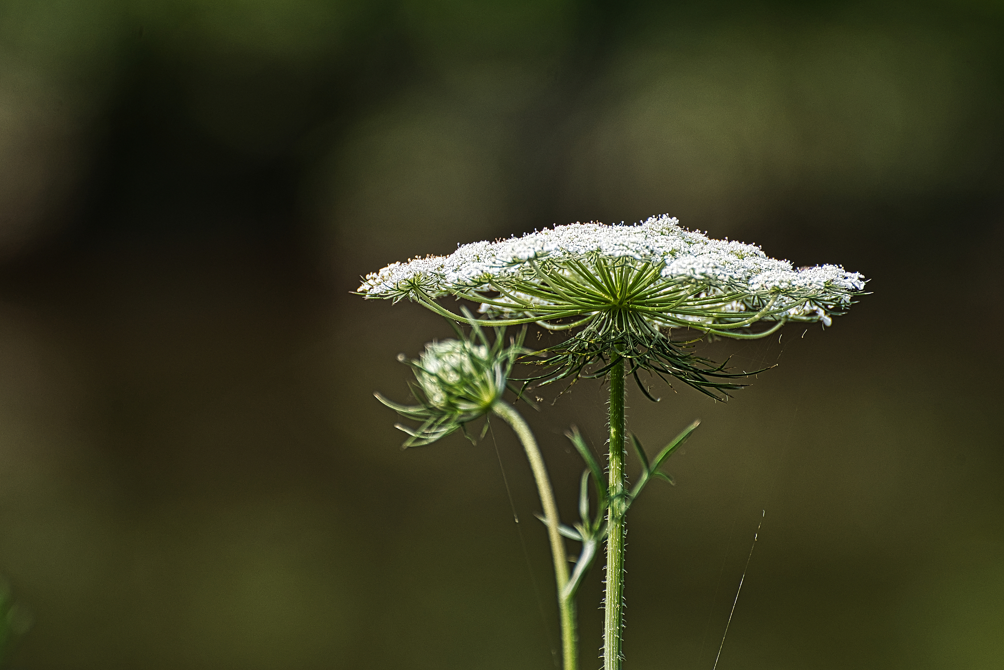 温州科技职业学院种子生产与经营怎么样啊好就业么