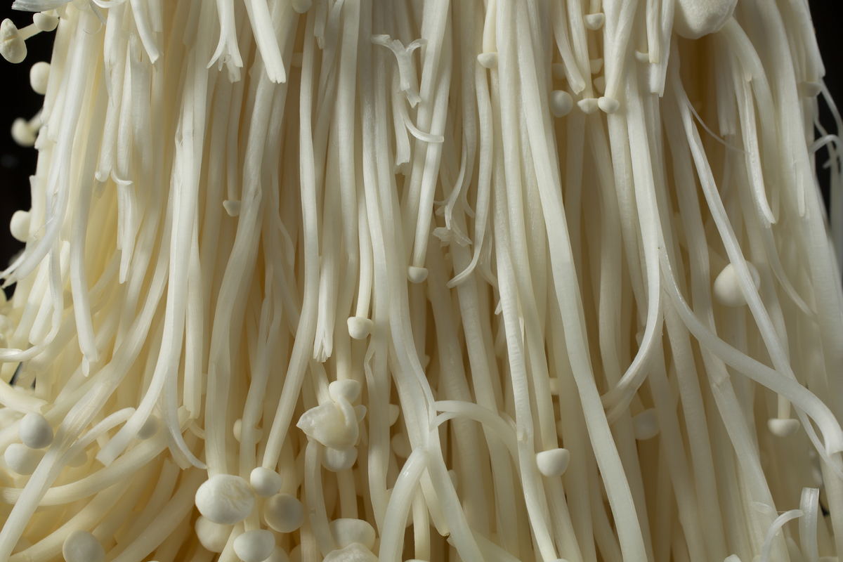 TD能组成哪些汉字？完整列表