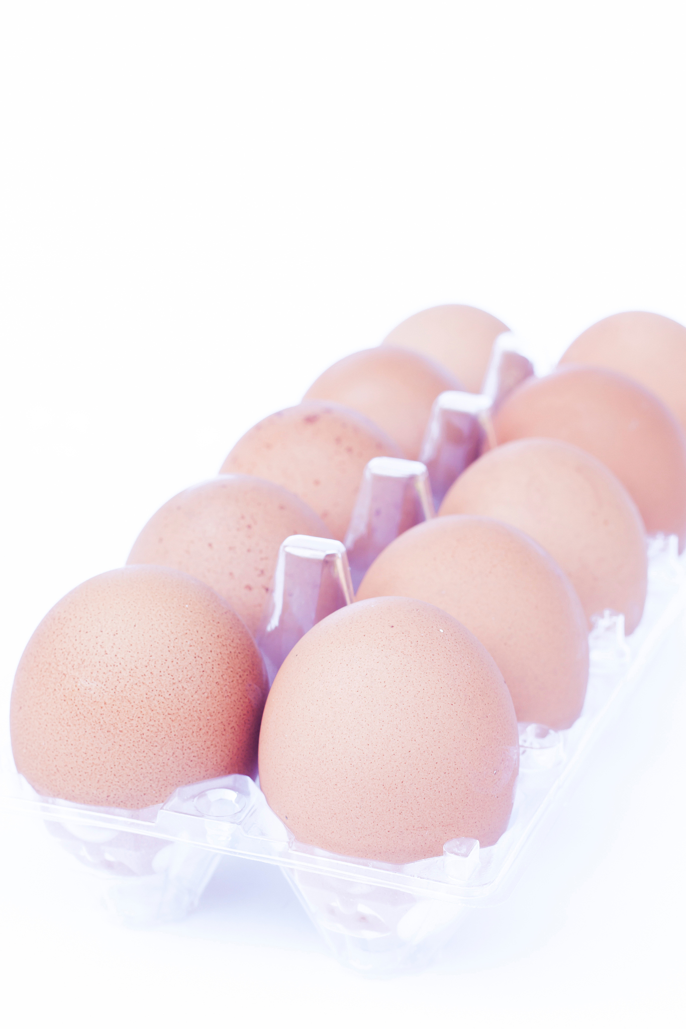 close-up of eggs in carton over white background