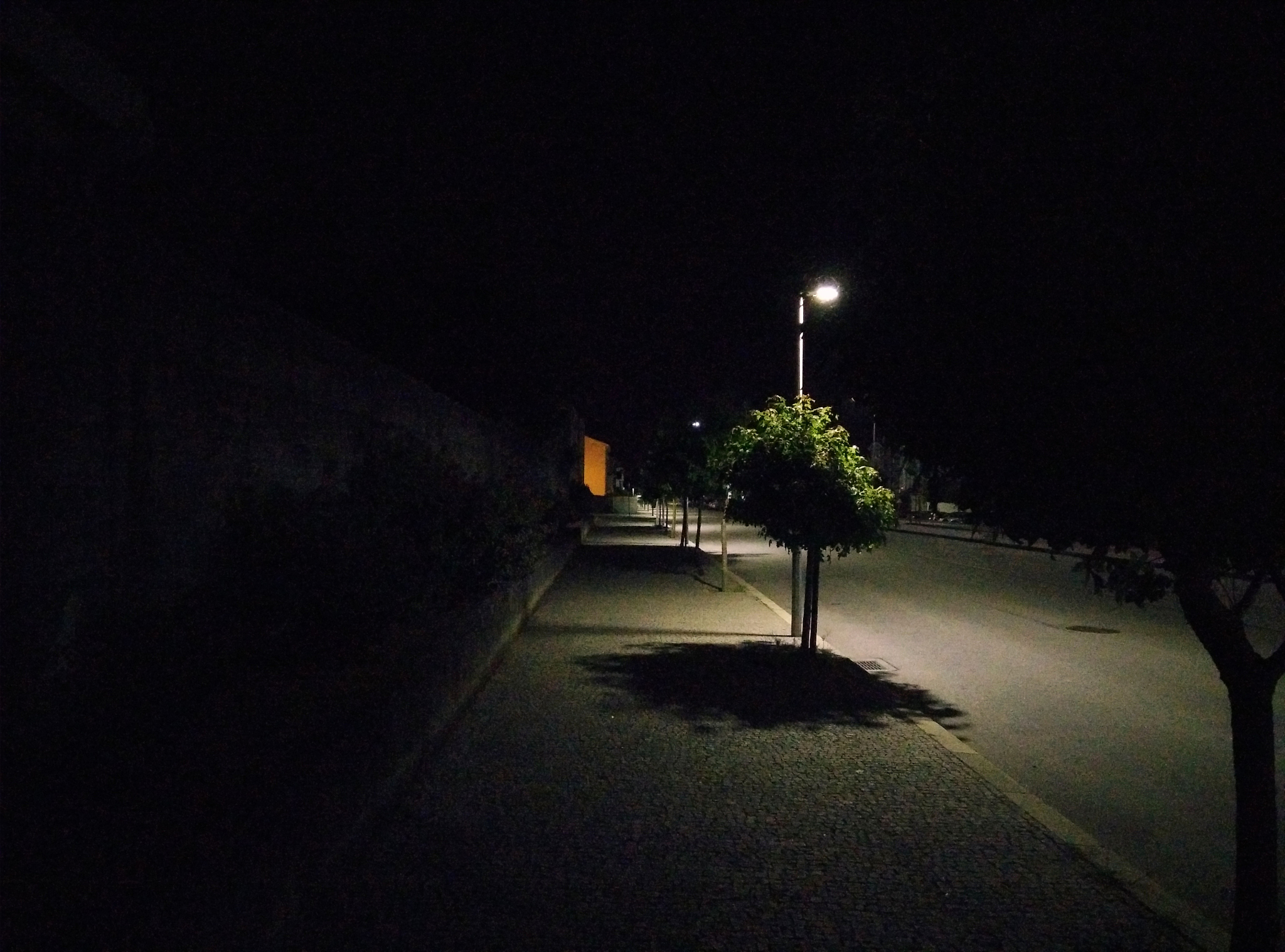 street light on road at night