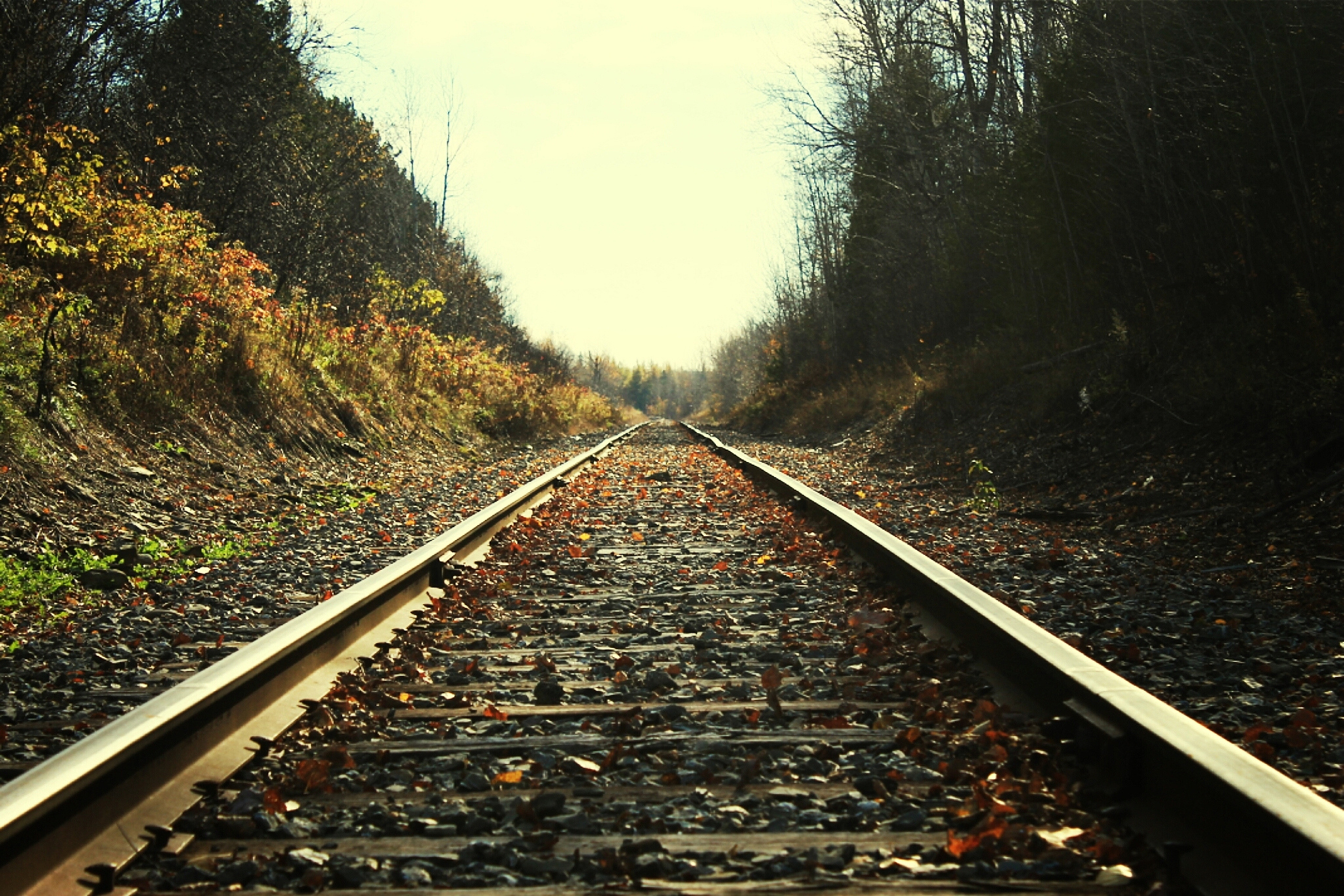 成都的铁路学校应该如何选择