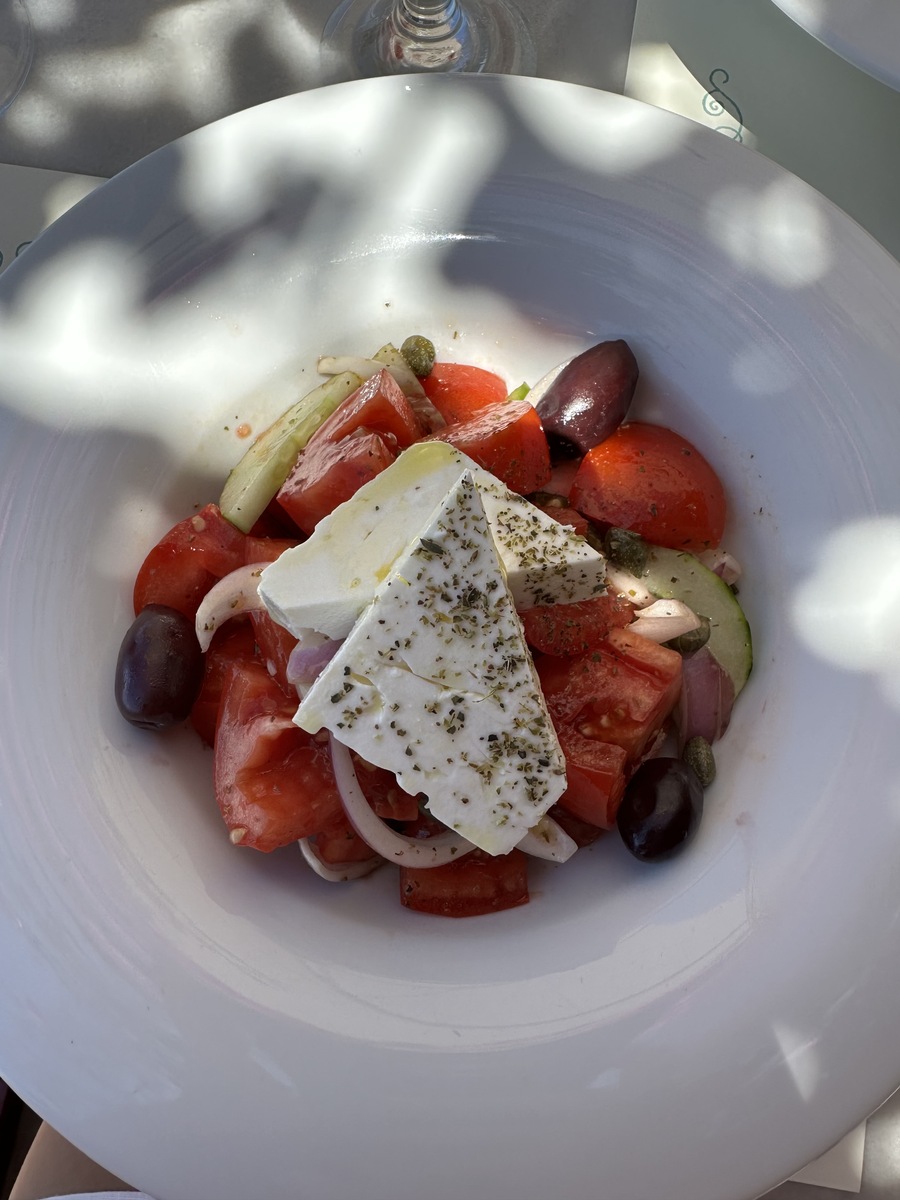 人属下面有什么生物分类