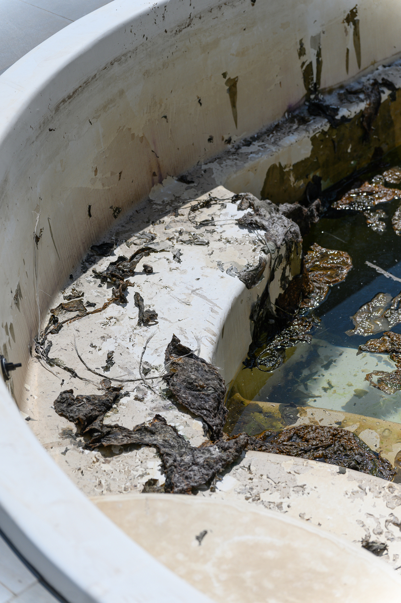 鱼缸里拉屎？绝对不行！ - 了解危害与正确排泄方式