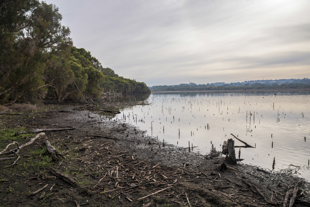 请用英文期刊论文的写作方式翻译这句话，，随着社会快速发展，重金属更加广泛应用于工农业生产，导致其对环境污染日益加剧。崇明岛位于长江入海口，地理位置特殊，易受到重金属污染威胁。崇明岛是上海菜篮子工程主要基