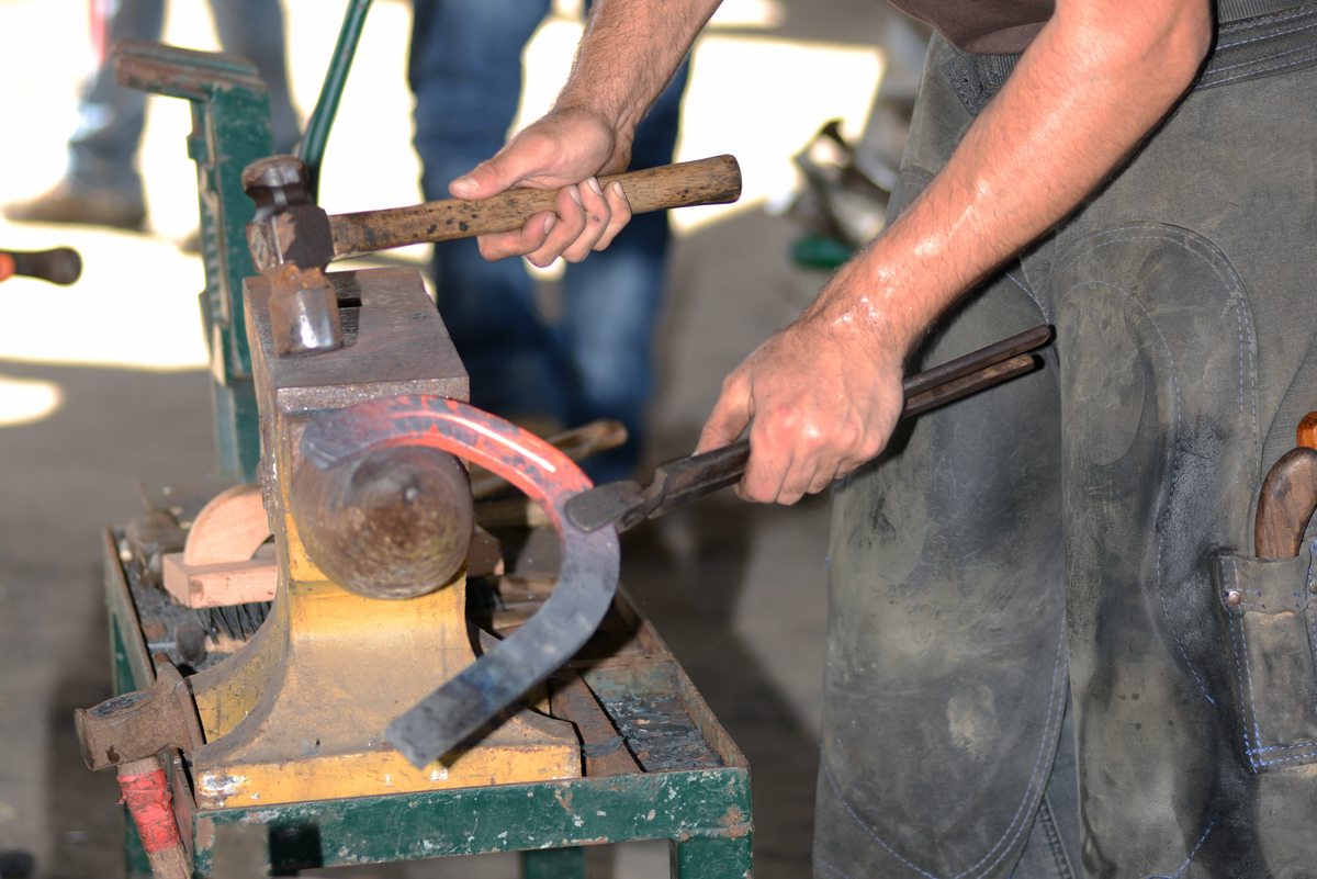 请以不少于300字的文字总结本学年参加金工实习活动来锻炼劳动技能、提升劳动素养的完成情况