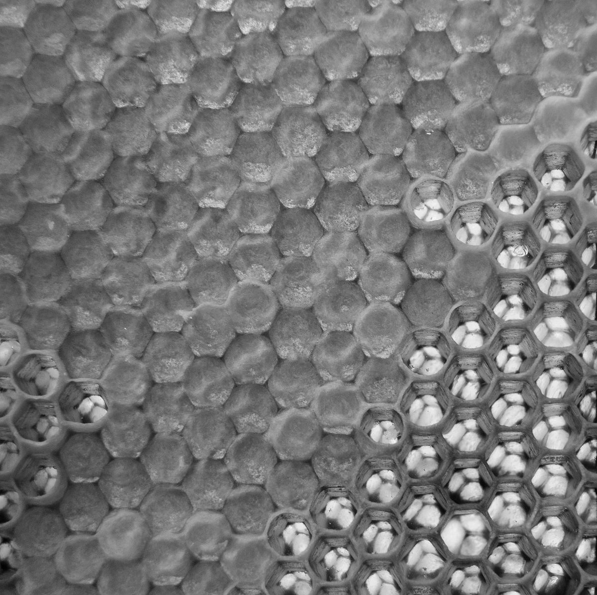 Cao H Fan Z Hou G Tang Y Zheng G 2014 Ball-flower-shapedNi nanoparticles on Cu modified TiO2 nanotube arrays for electro-catalytic oxidation of methanol Electrochim Acta 125275–281Publisher’s n o t e