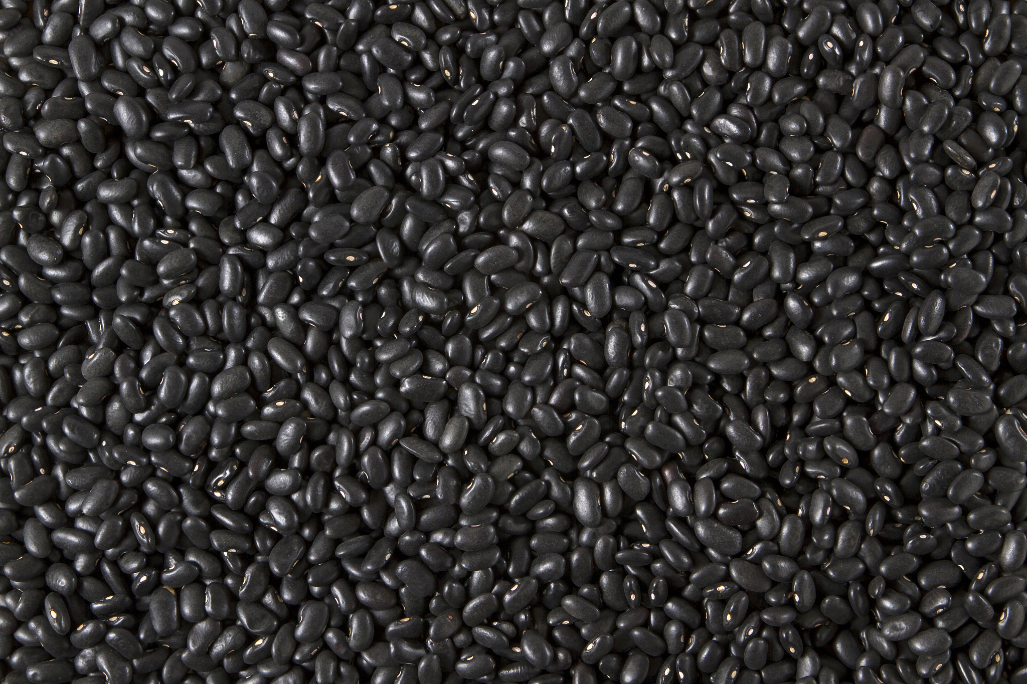 请翻译局部因含有豆荚等杂质而呈现黑色或深灰色