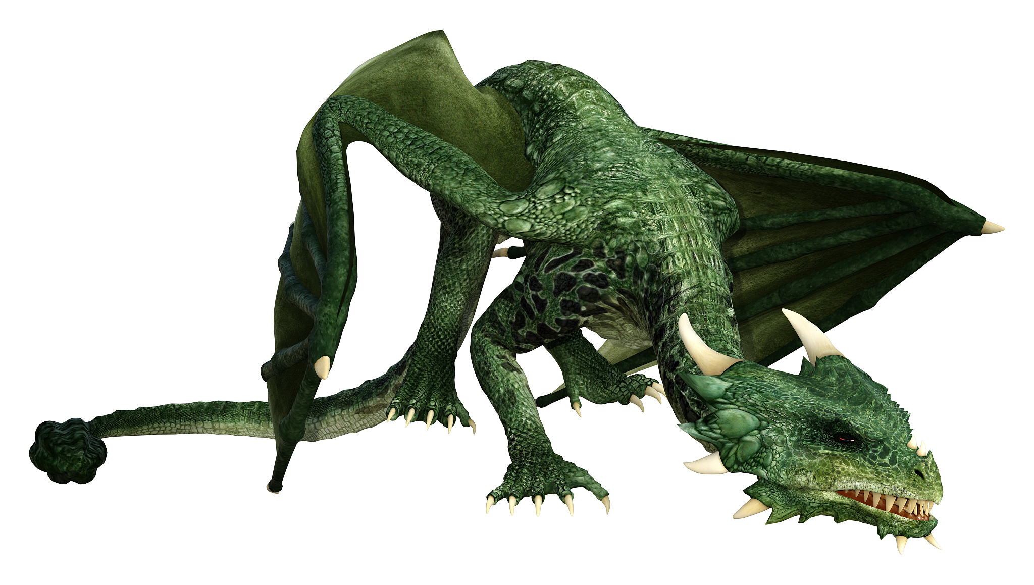 3d illustration fantasy dragon on white