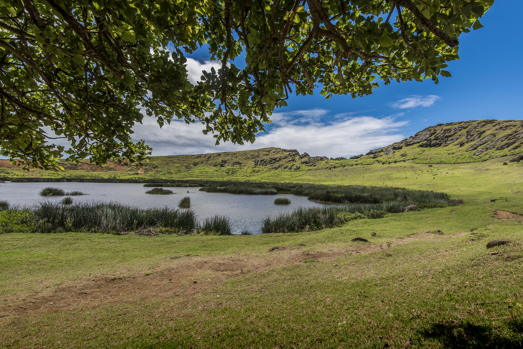 interior of the crater of the rano raraku volcano with undergrou