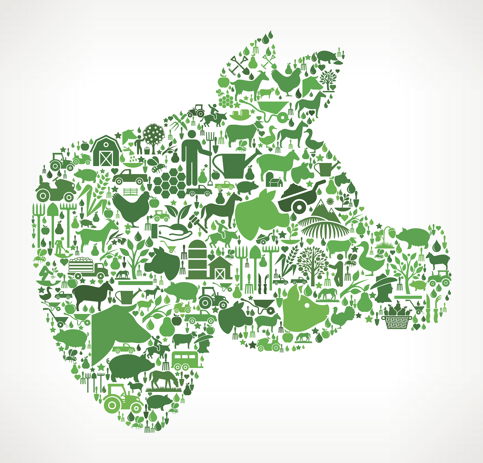 pig head farming and agriculture green icon pattern