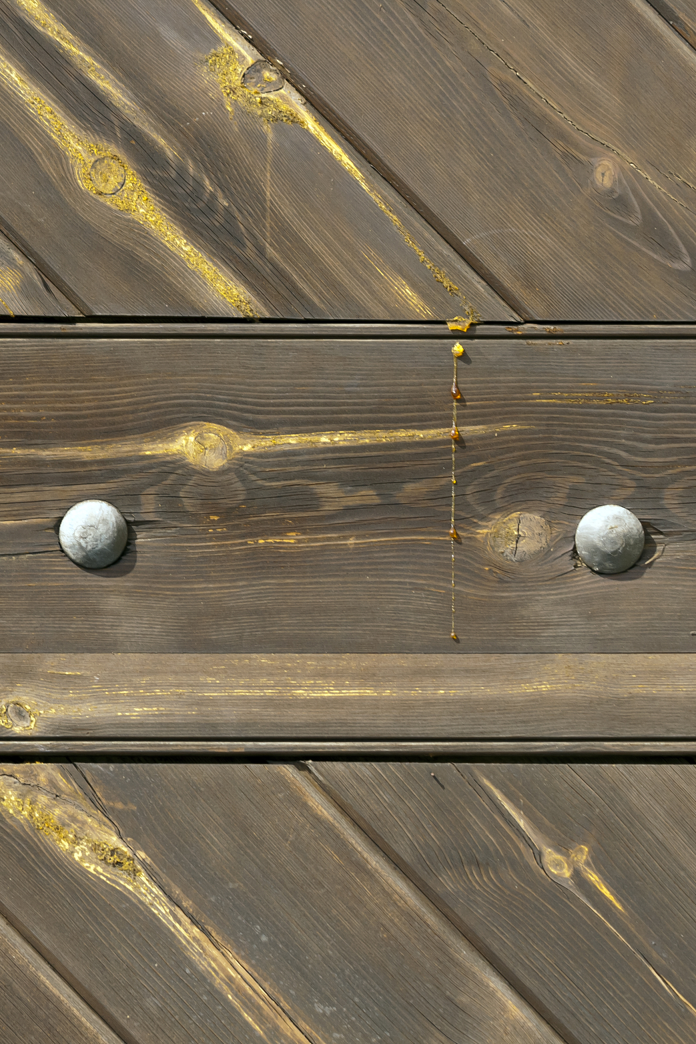 wooden surface texture with nails and rosin drops