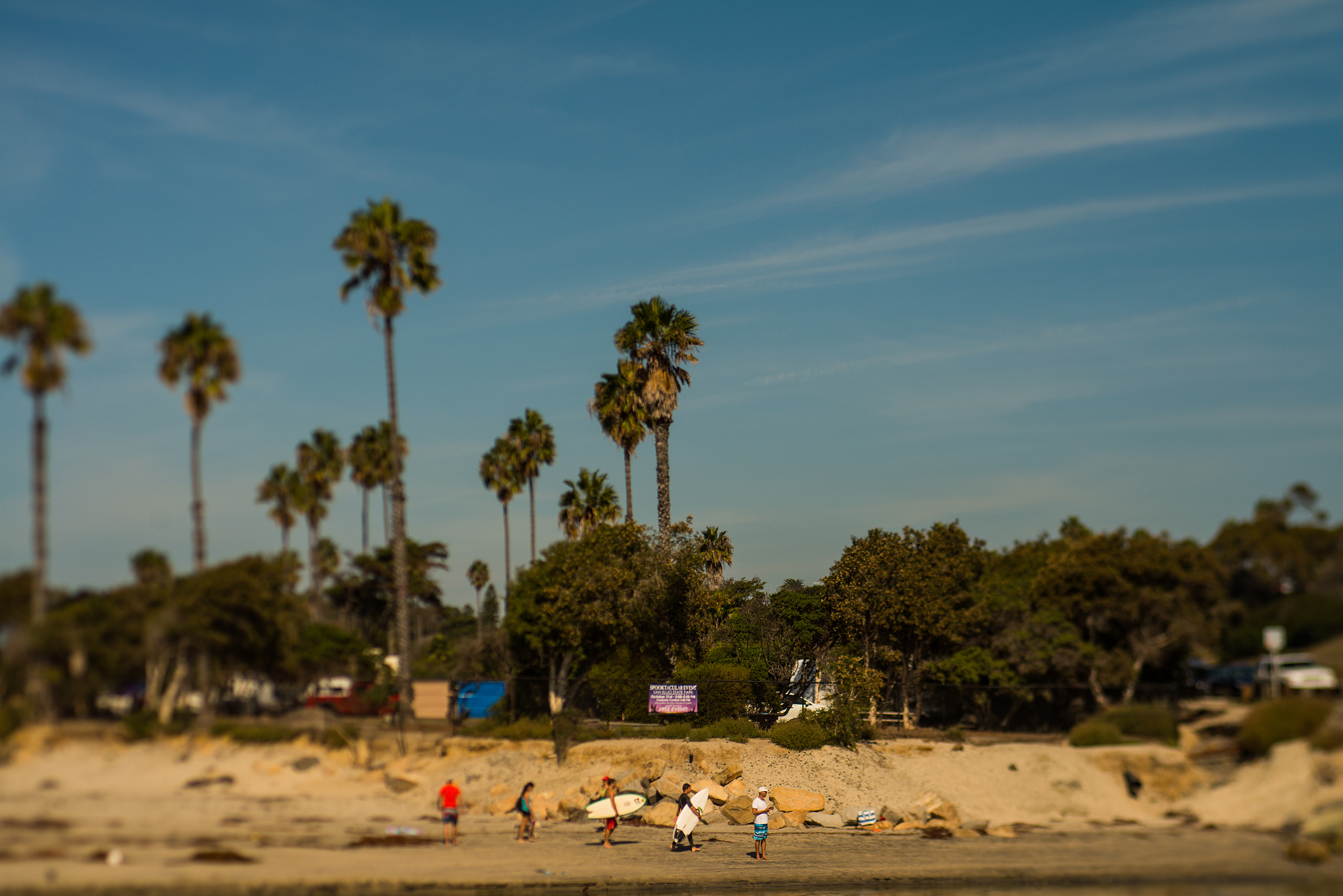 people enjoying at beach