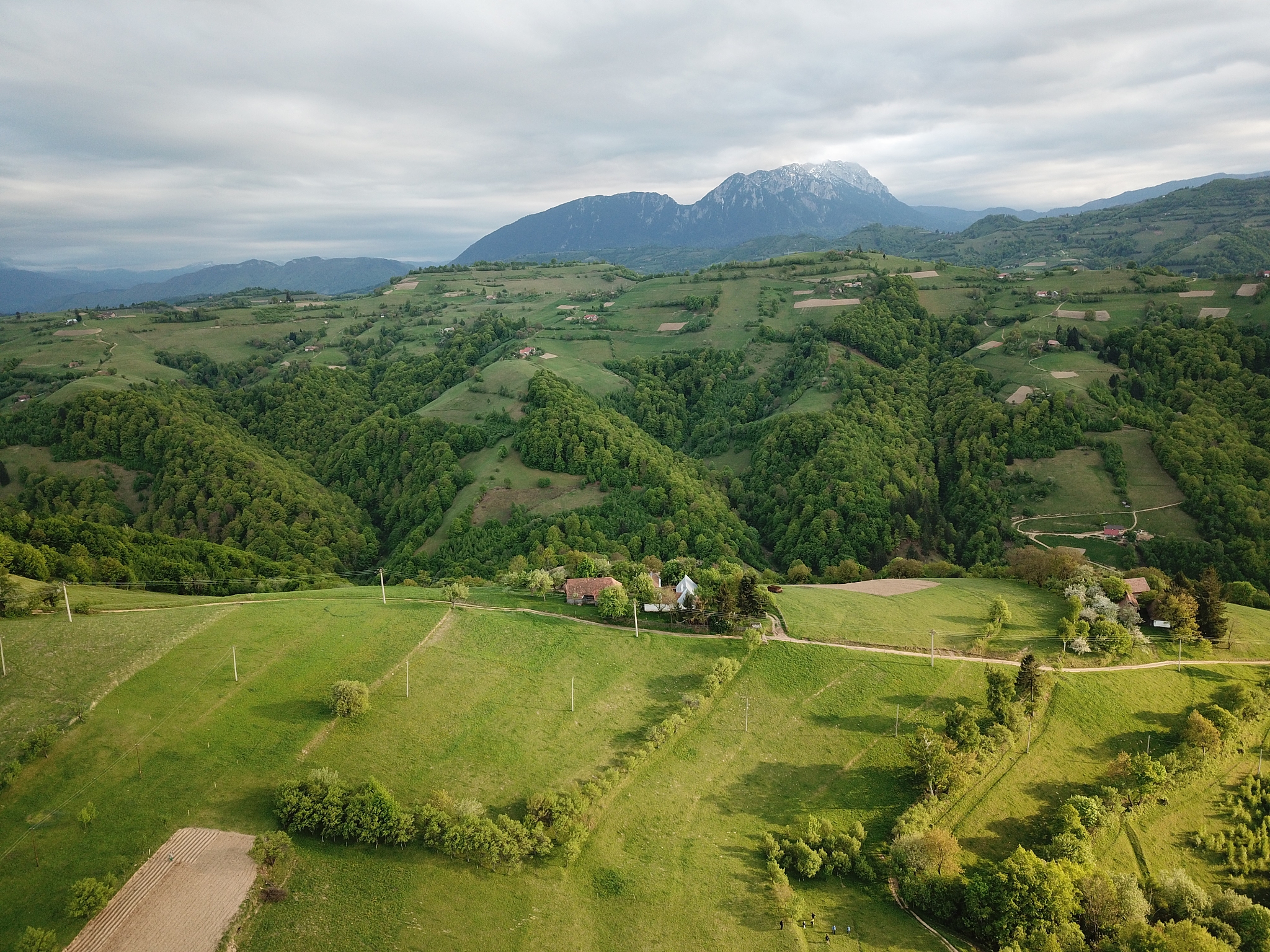 scenic view of green landscape against sky