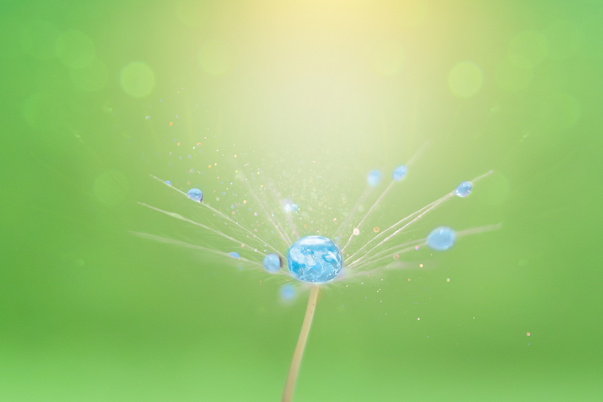 湖南环境生物职业技术学院2021年五年制大专报名指南