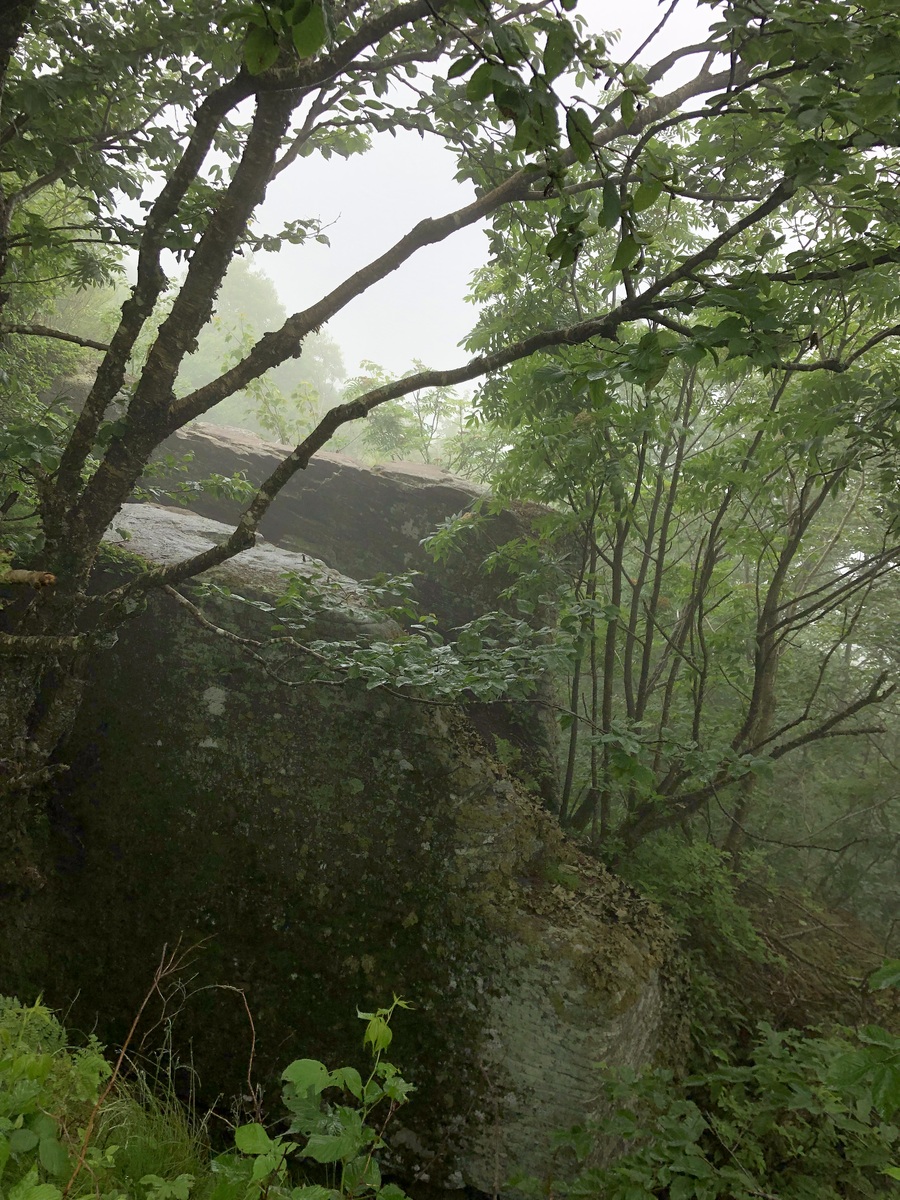 雨后山行：探寻青山妩媚之境