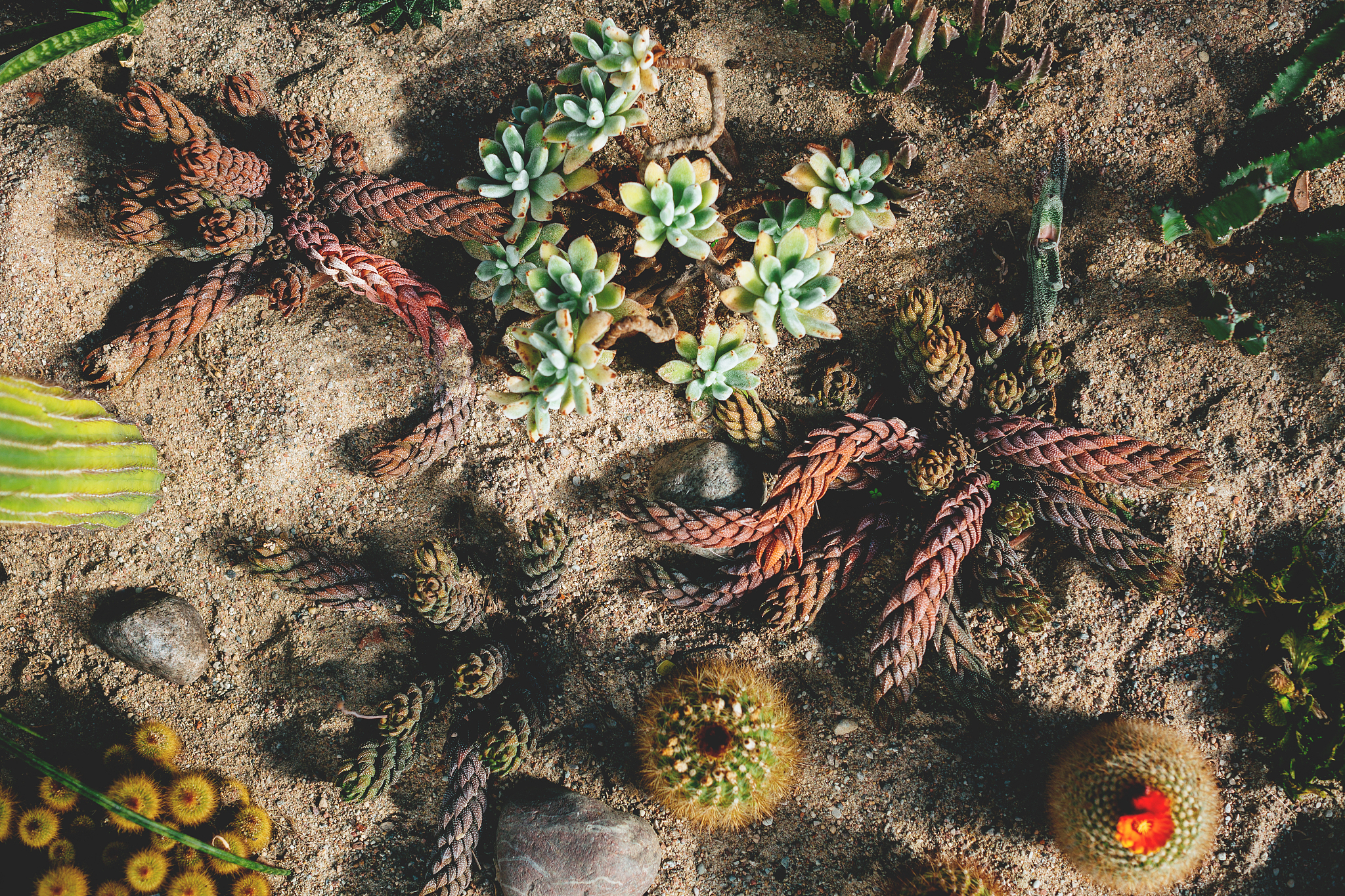Available Phosphorus in Soil: Microbial and Plant Growth Impacts