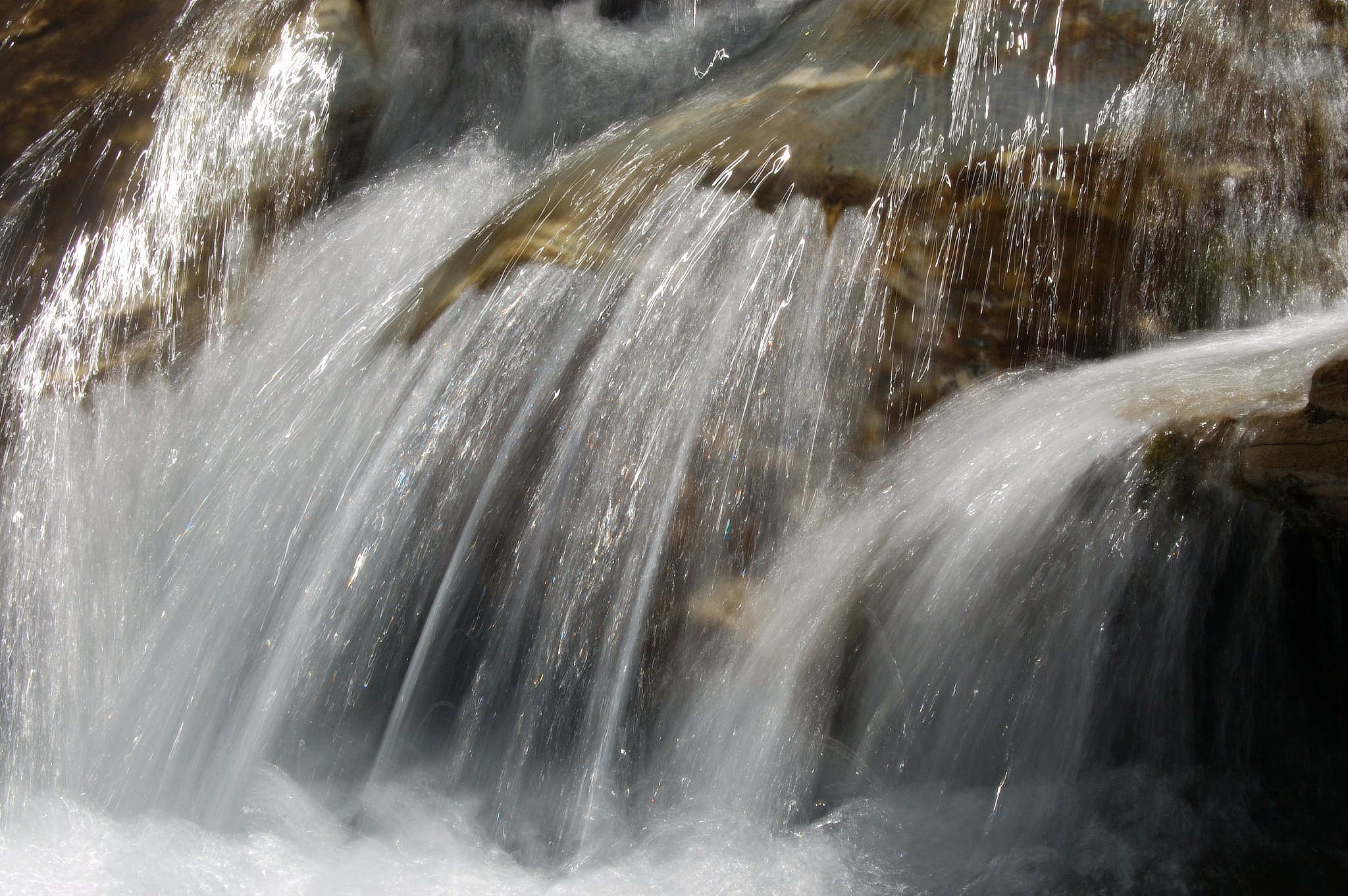 torrent