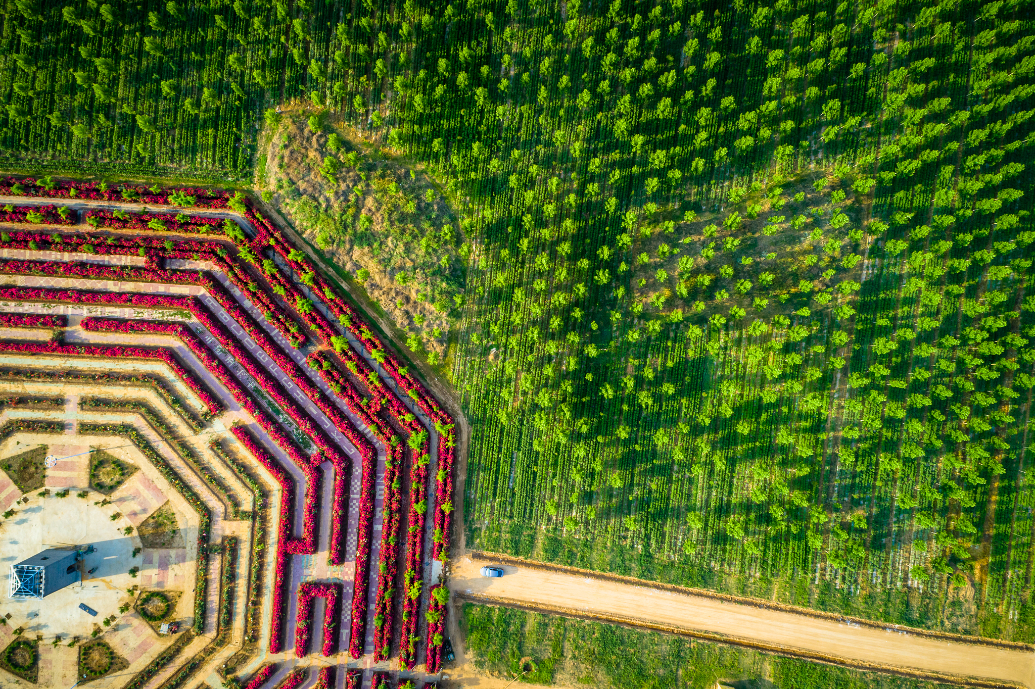 乡村振兴计划游戏：打造理想乡村，体验振兴之路