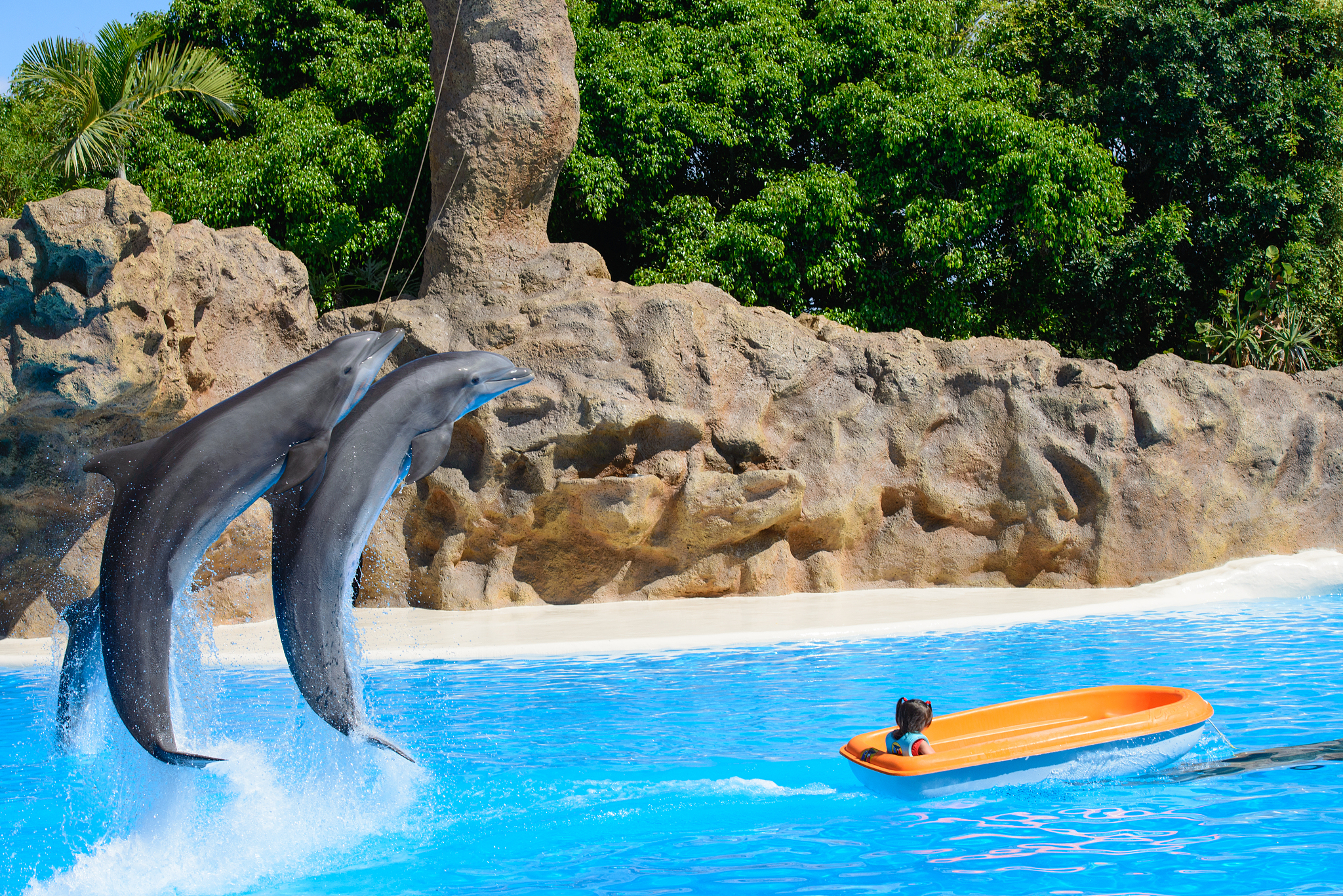correct the grammar mistake of the sentenceYes when I was in primary school we arranged a field trip to the aquarium and it was my first time seeing a dolphin show
