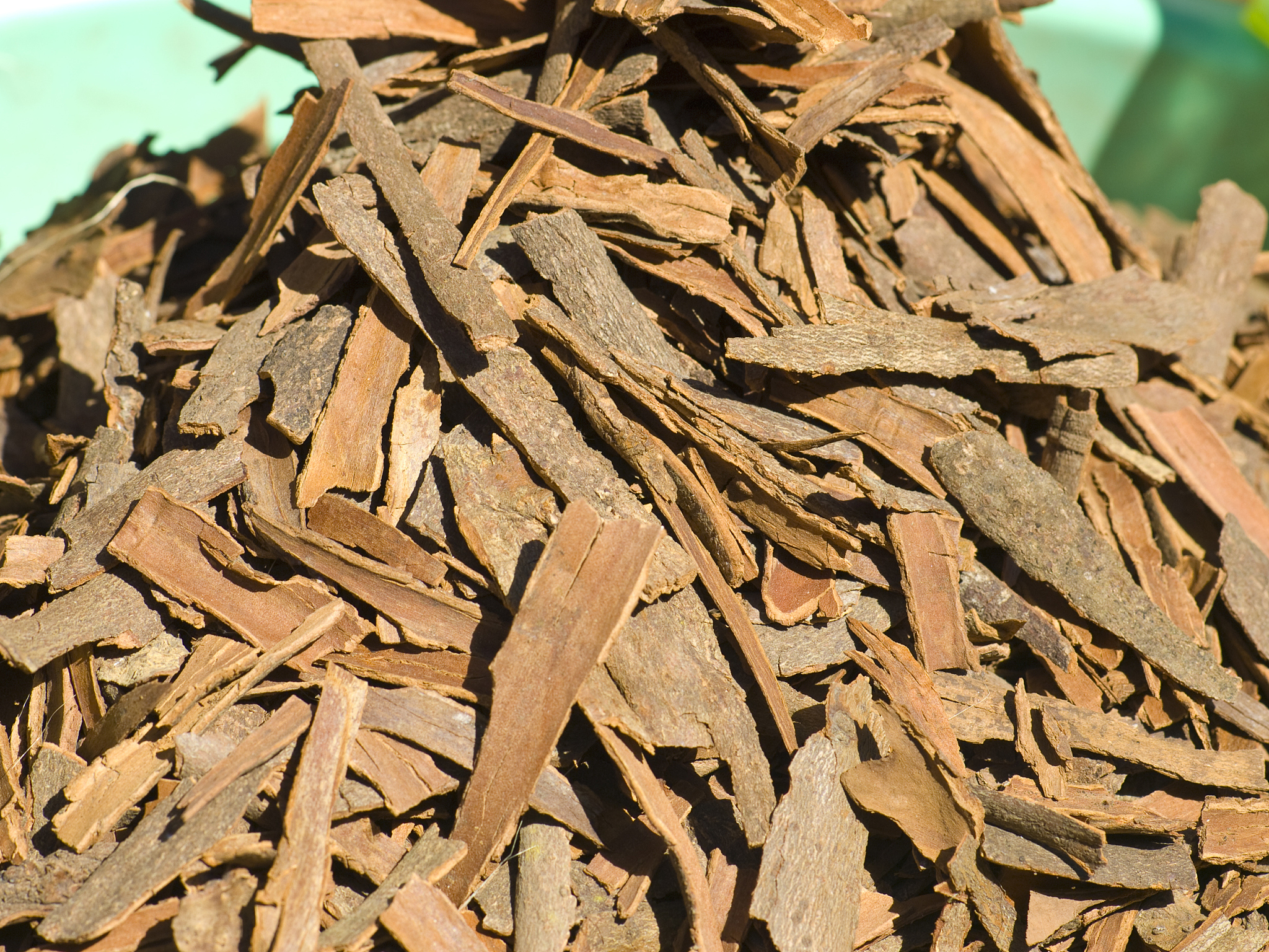 桂园的皮有什么功效与作用，