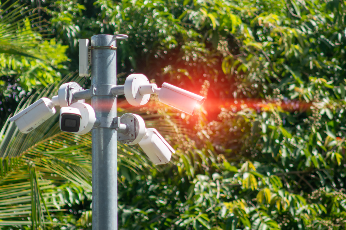 农业四情监测：提升农业生产效益和质量的关键