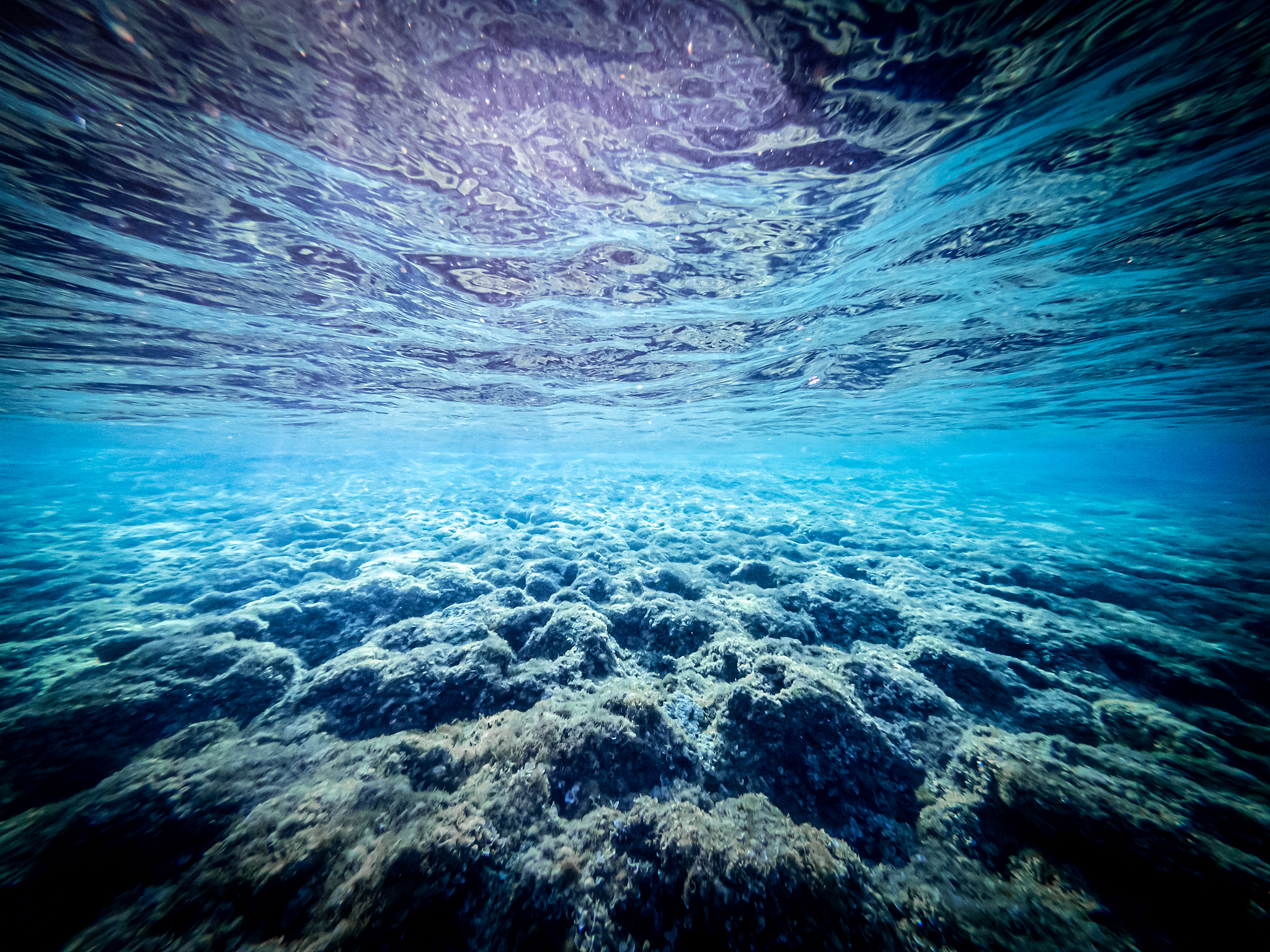 underwater view of the seabed in san lorenzo, sicily