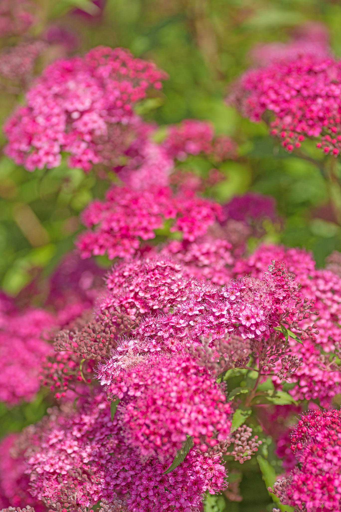 1200字关于摄影技术提升从这五个方面入手！