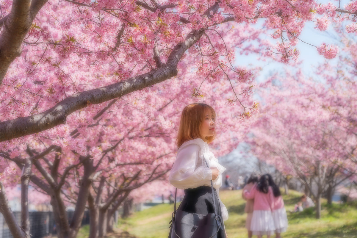 写一篇长篇小说男主家庭条件好但是家里不太和睦有个继母女主家庭条件一般但是家庭很和睦男主逃离家门去往日本女主去日本留学他俩在樱花树下邂逅