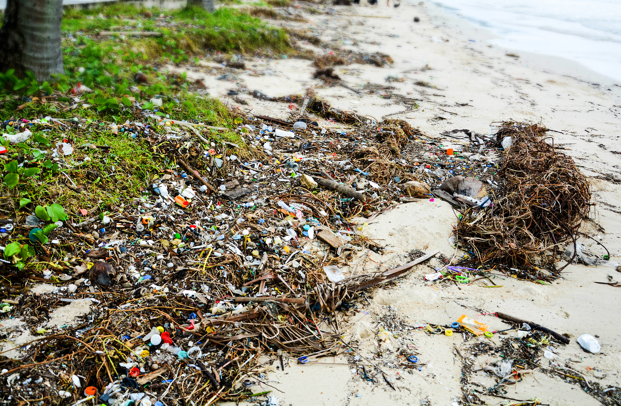 中国全面禁塑！2023年最新政策解读及影响分析