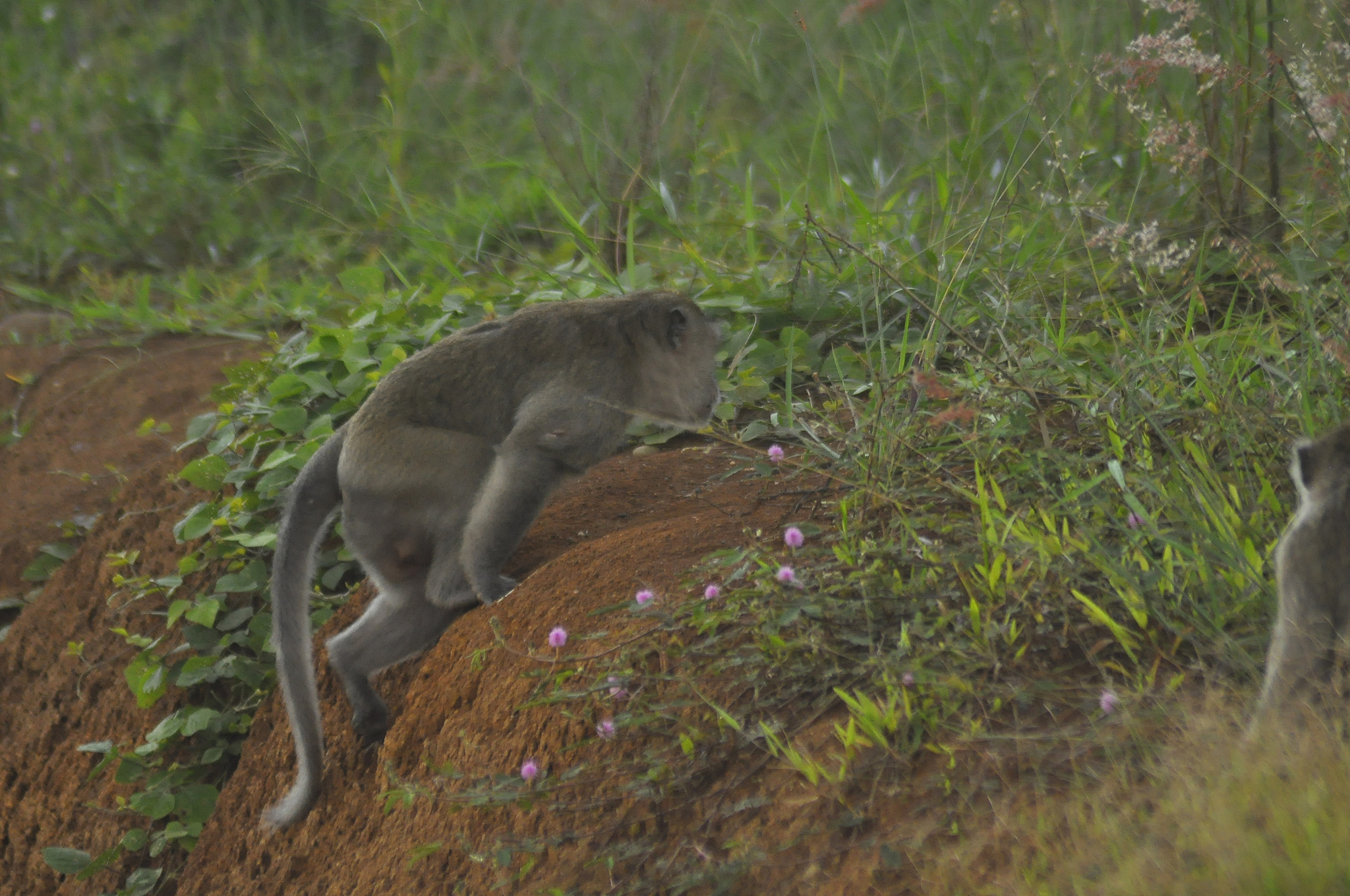 tempat penyimpanan barang