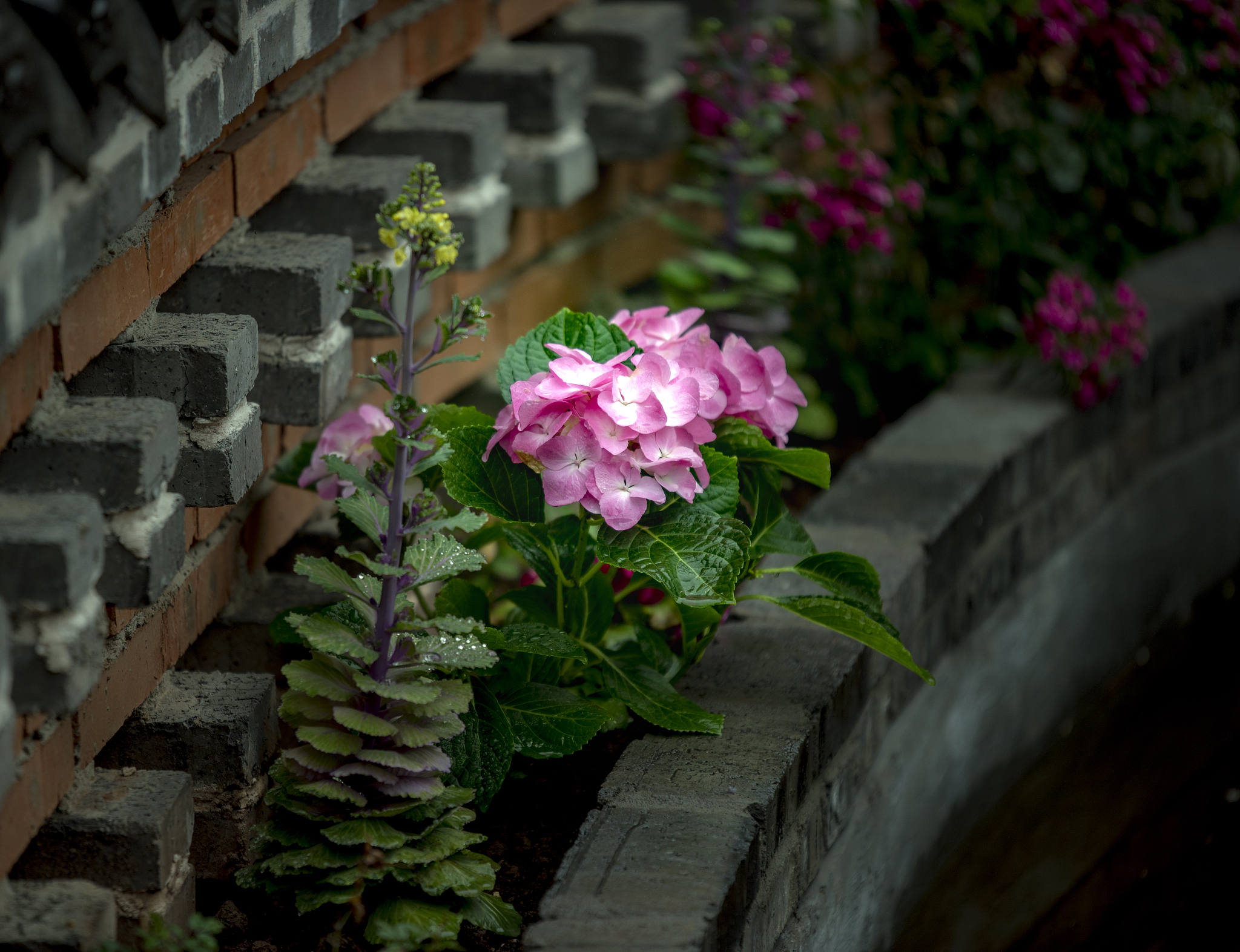 特色民宿财务预算：200字解读经营资金规划