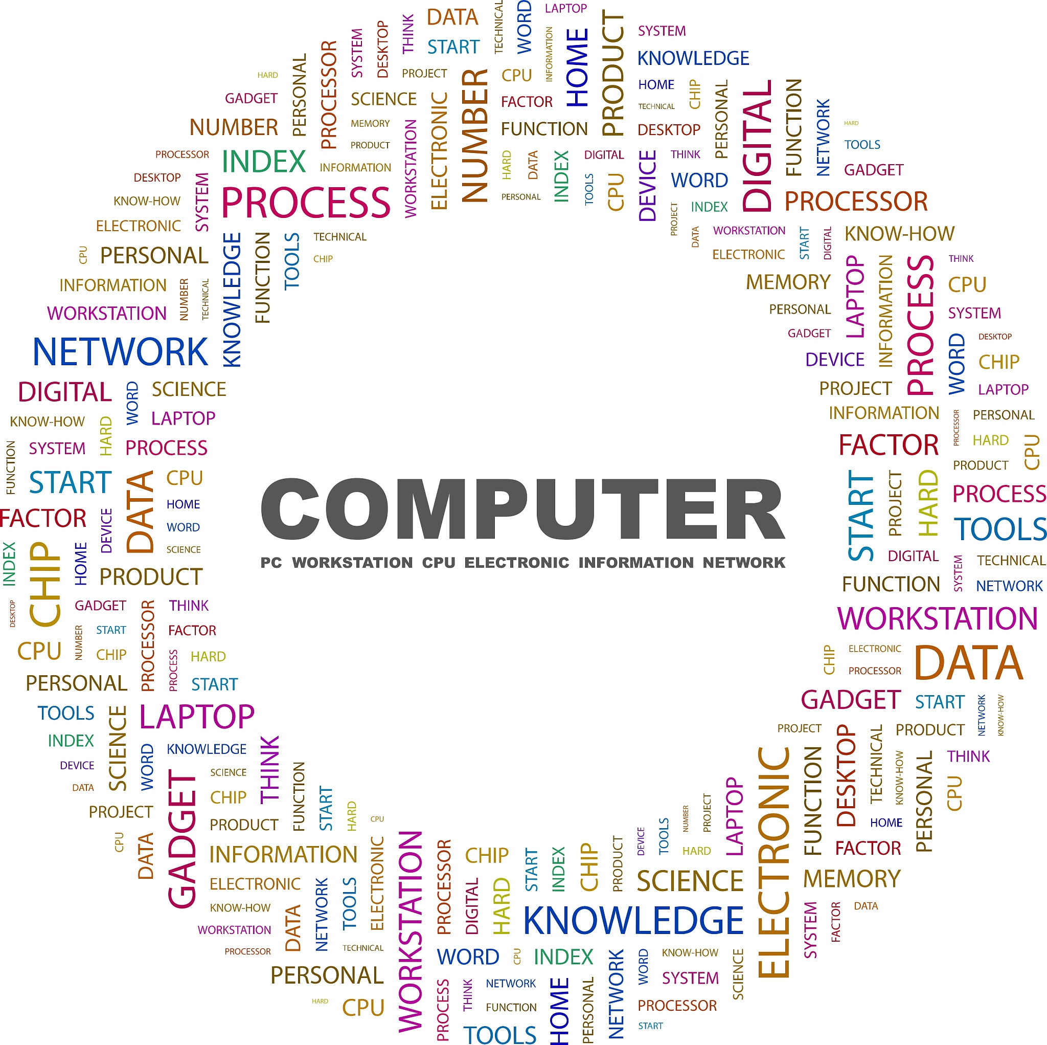 P4的发展现状总共2000字。