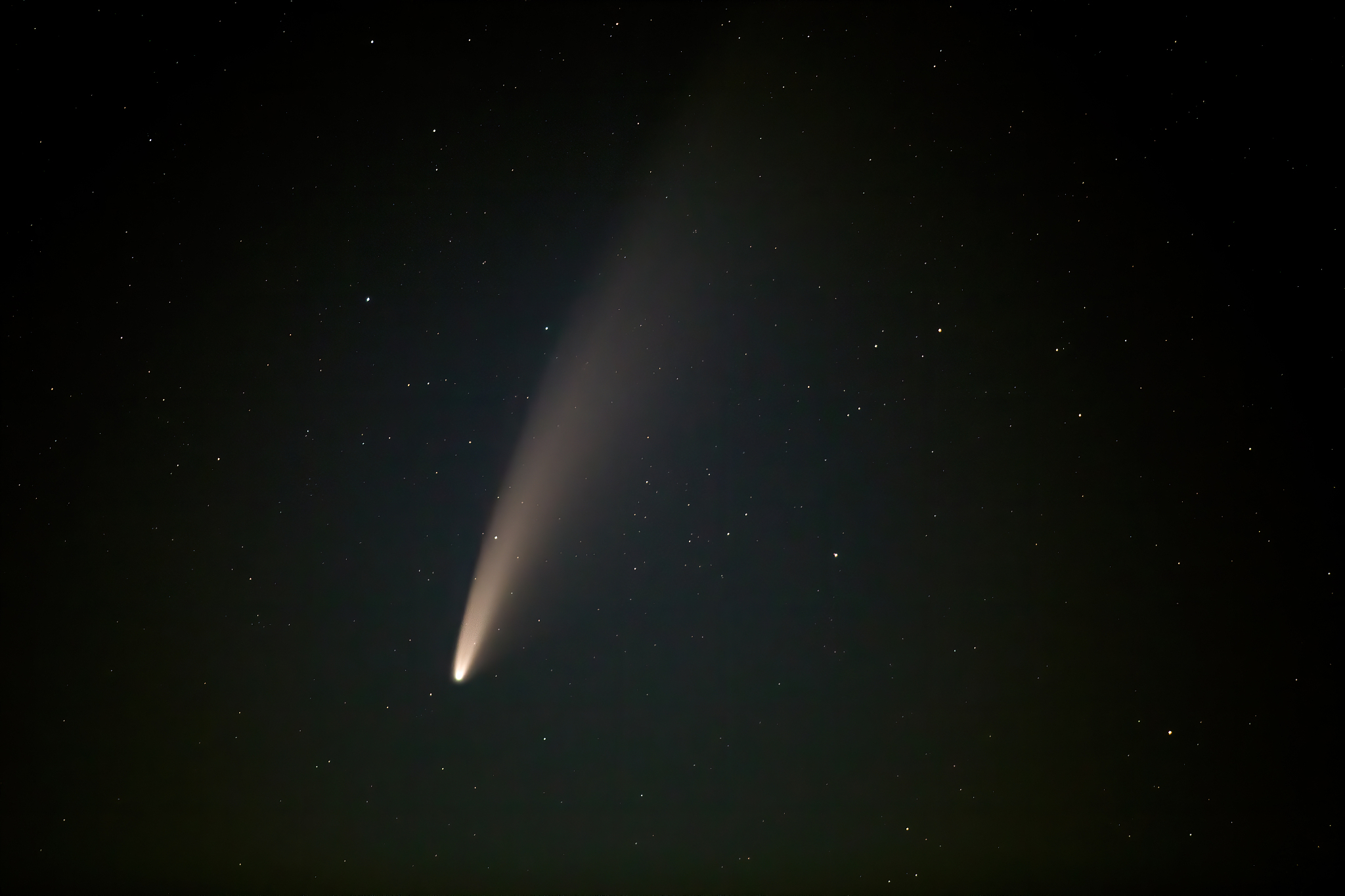 comet neowise