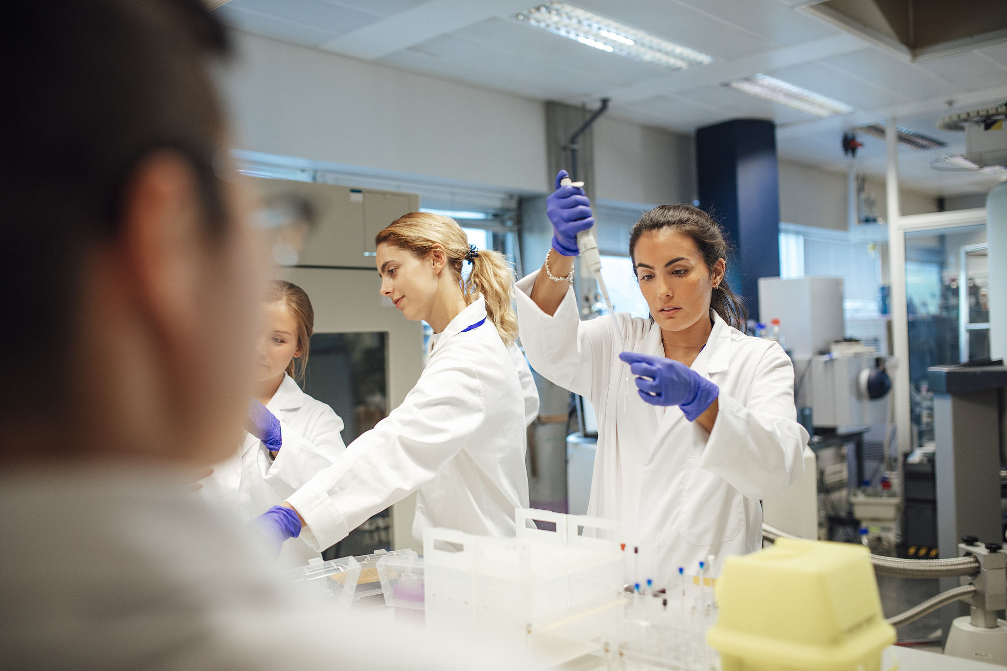 乌鲁木齐职业大学单招有药剂专业吗