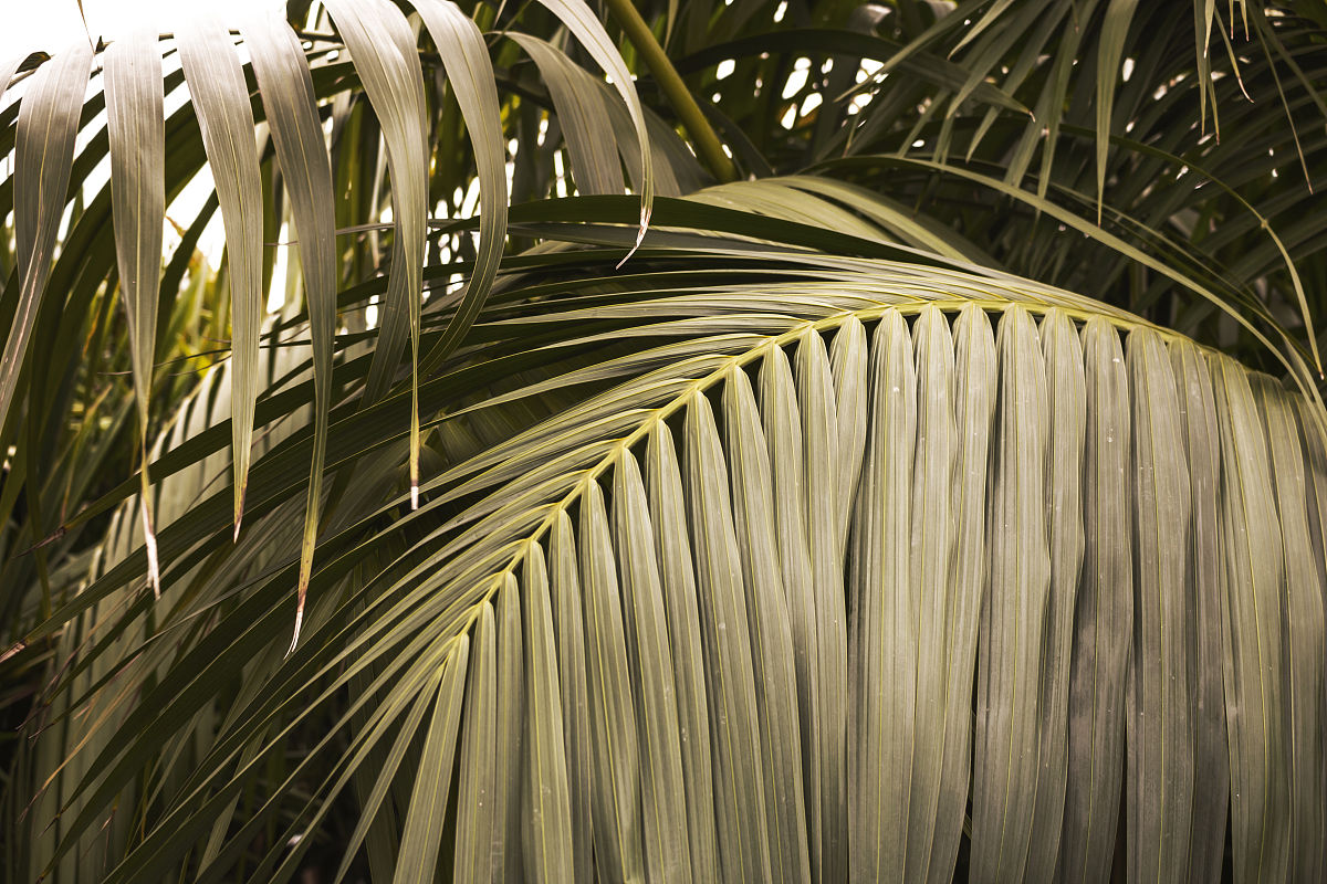 象州县地理位置和气候、交通现状象州县的电商创业园等