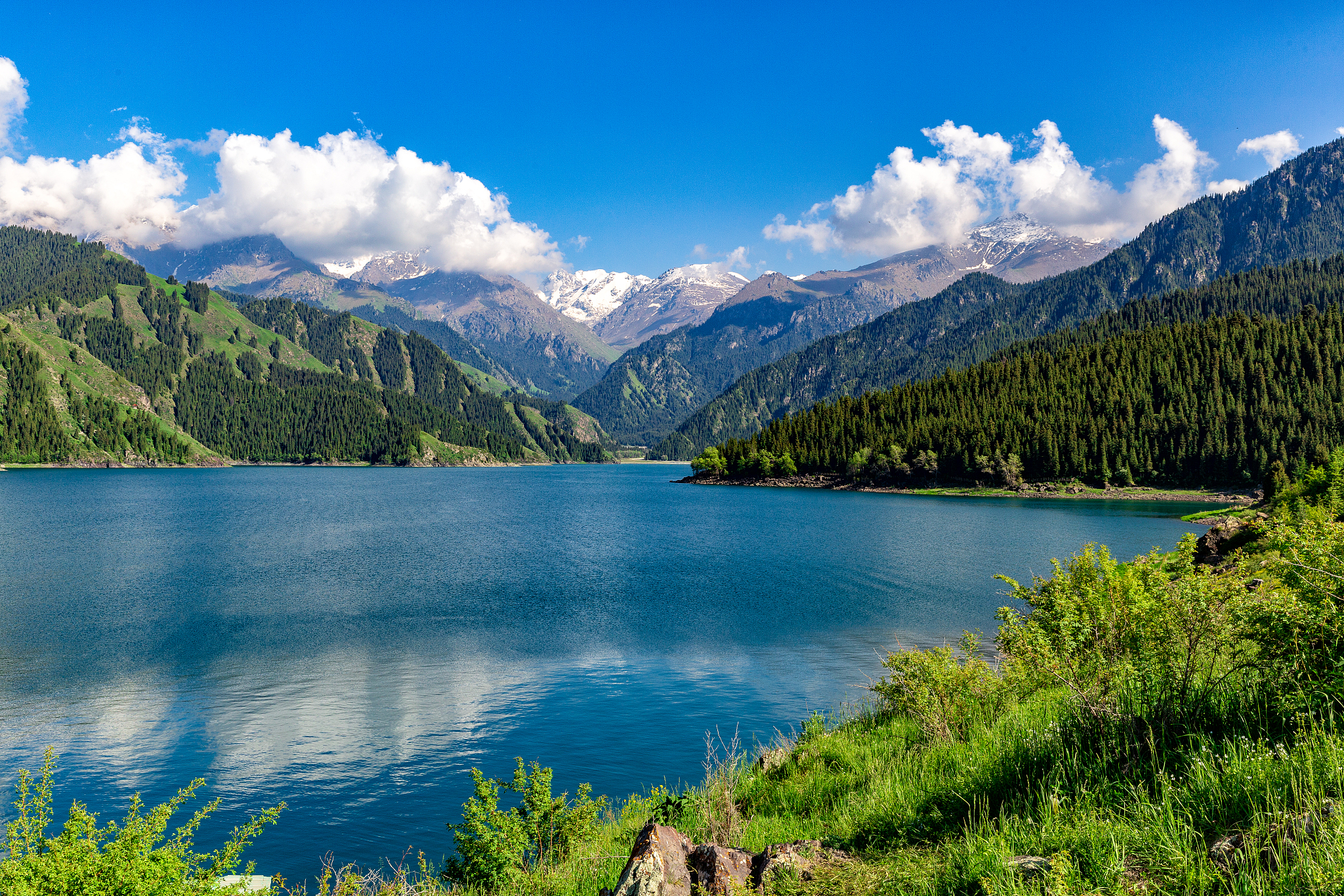 🏔️天山天池攻略｜避坑指南+四季玩法，本地人带你解锁神仙瑶池！