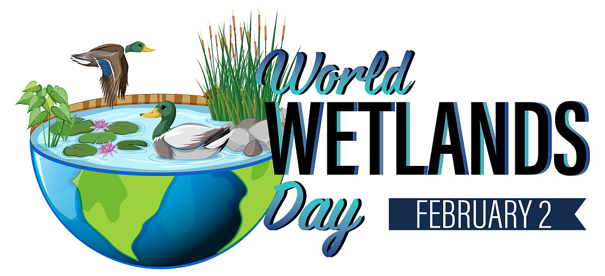 CONSERVATION BIOLOGY 期刊：生物多样性保护与可持续发展研究