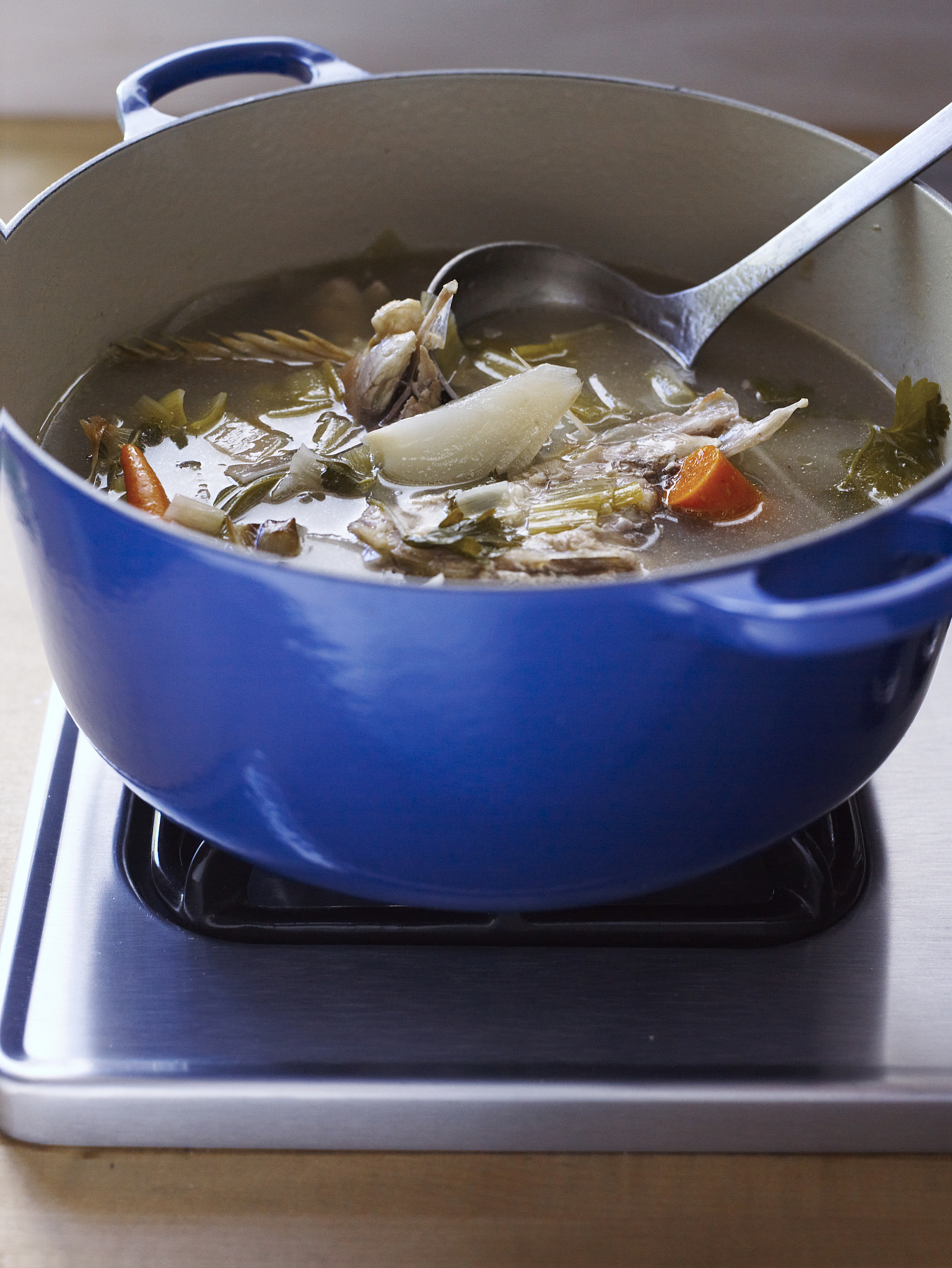 fish stock